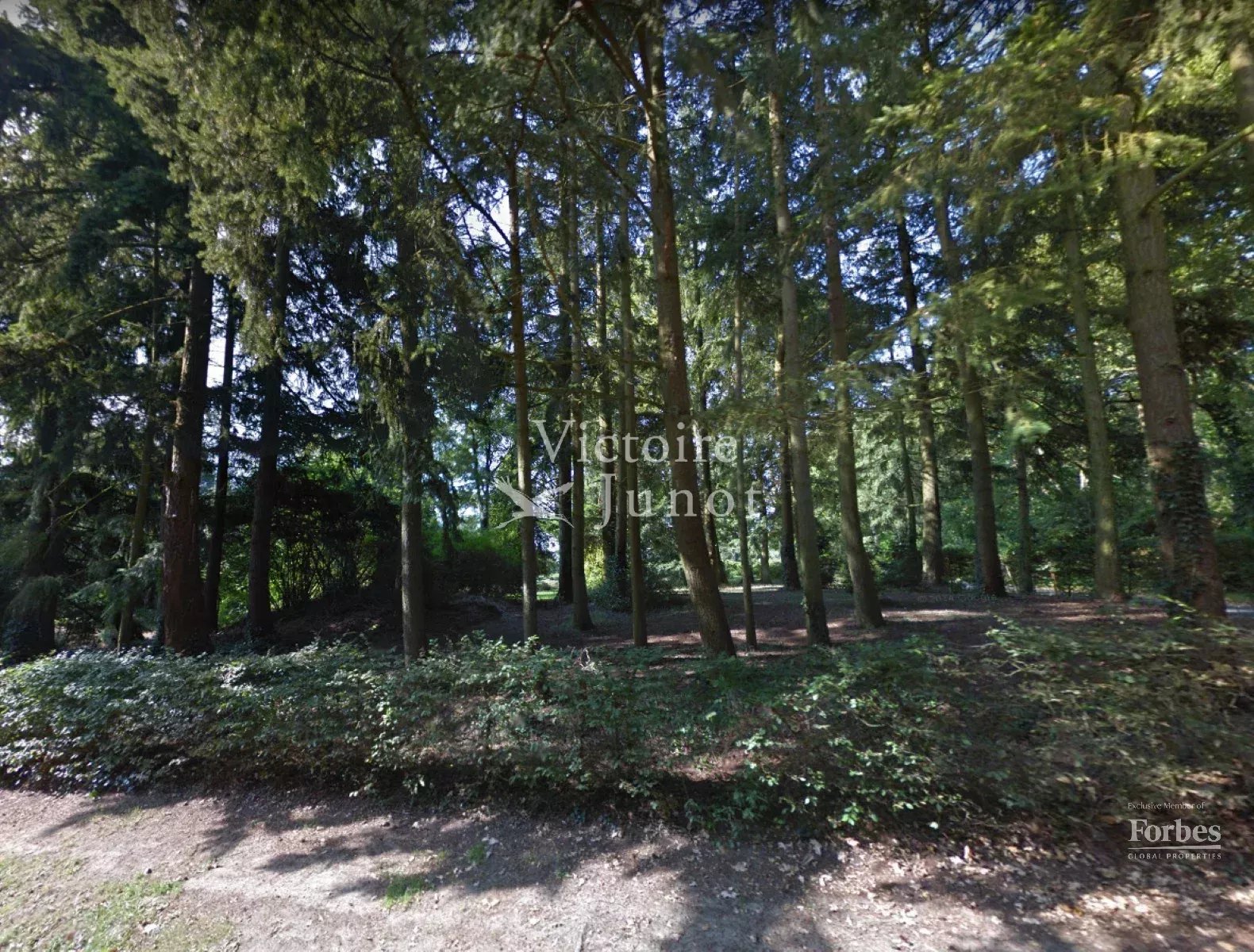 realisatie 86567097
