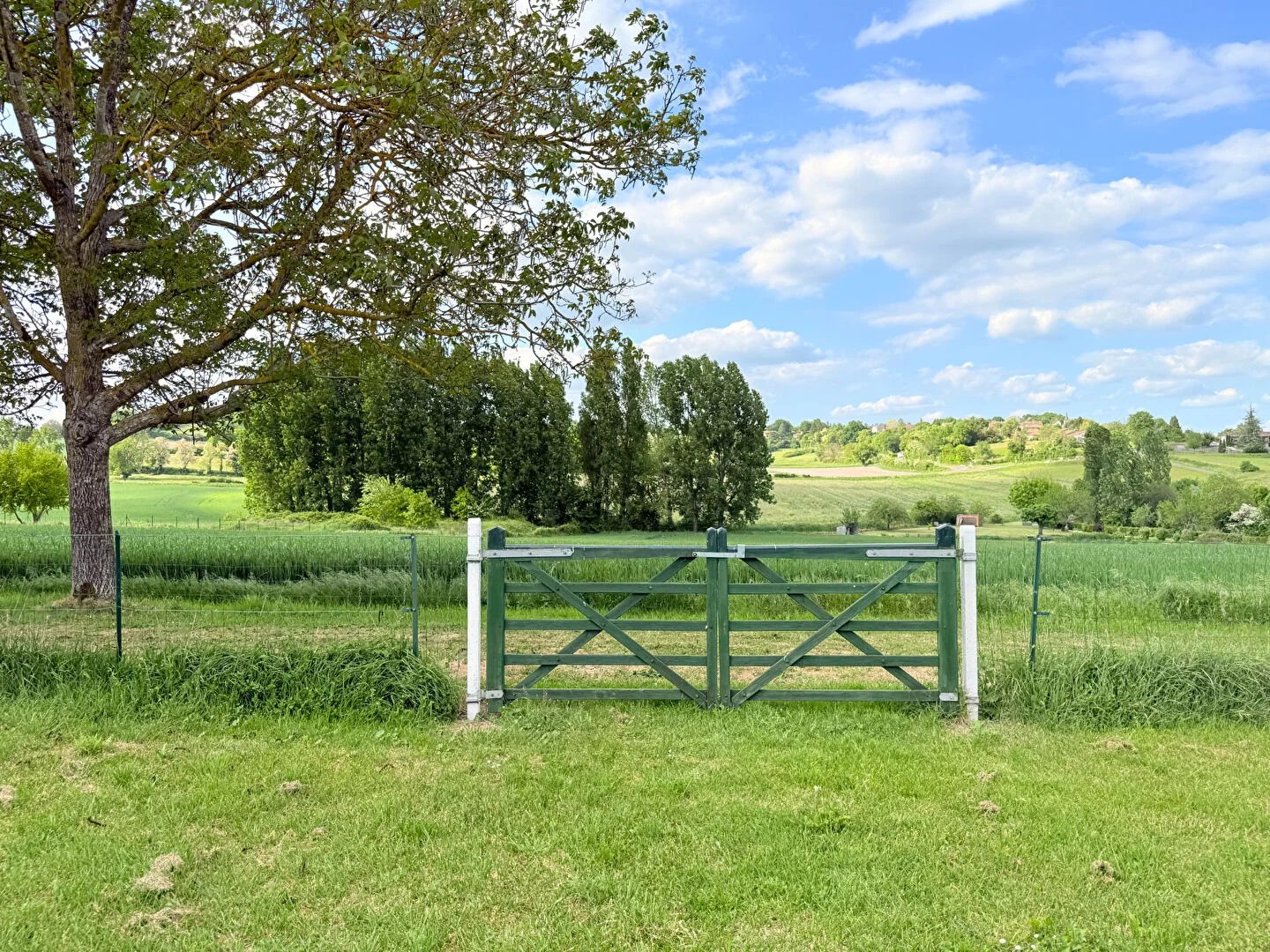 slider-listing