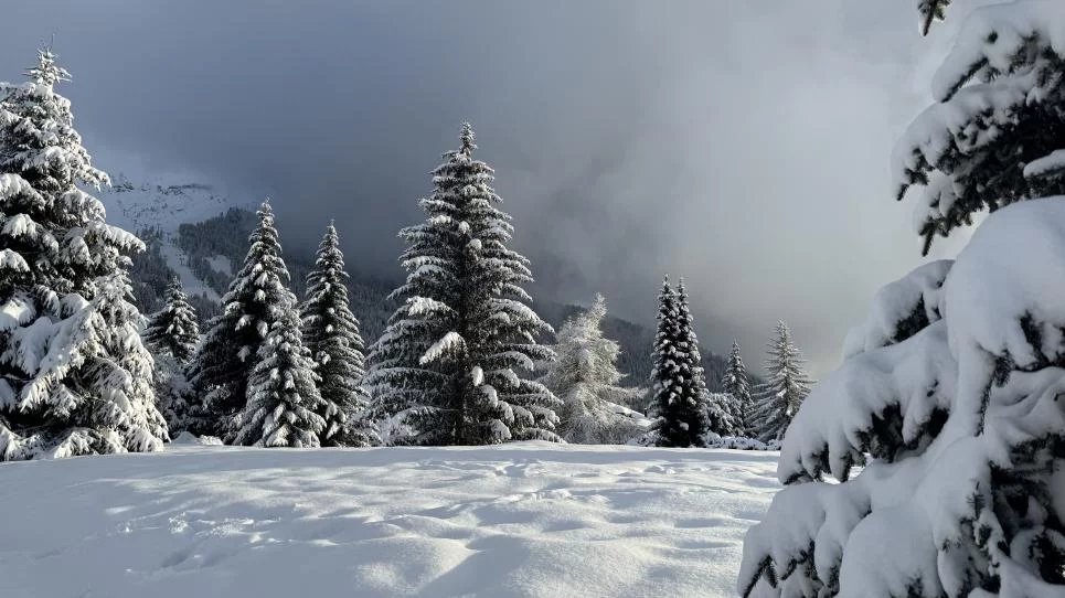 Rez-de-jardin parfaitement rénové