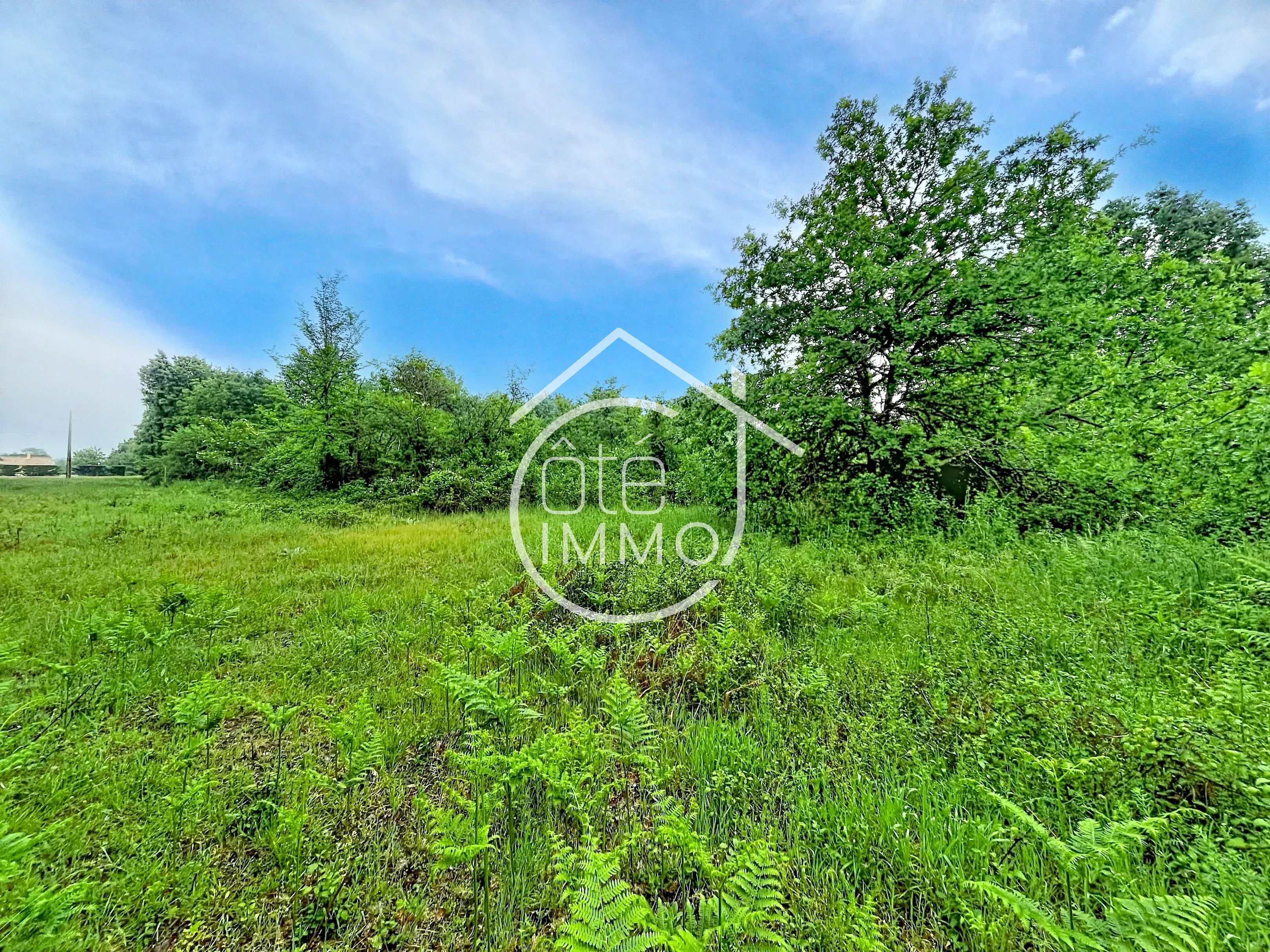 Agence immobilière de Agence-Cote Immo