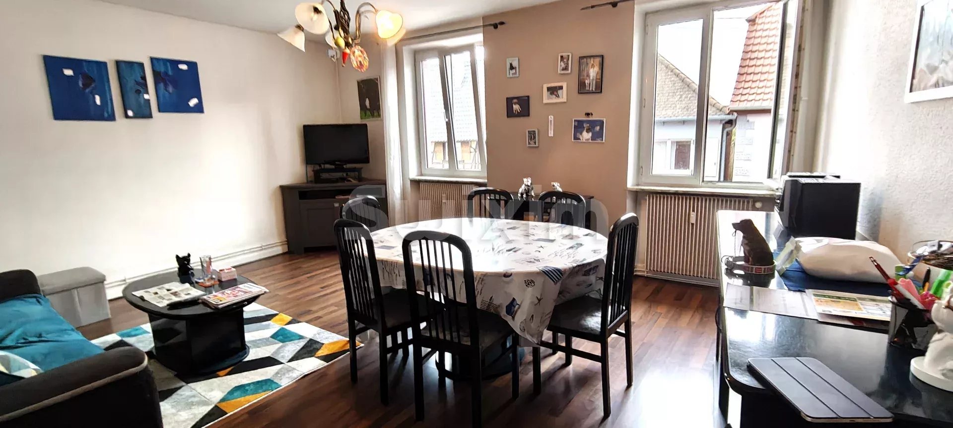Agence immobilière de SWISS PLAN SAS