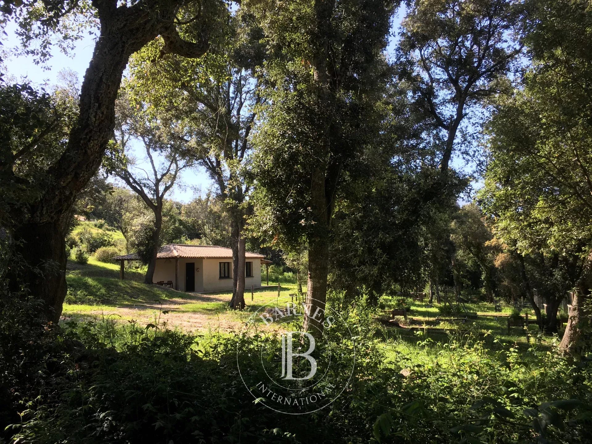 Villa Porto-Vecchio  -  ref 84142737 (picture 2)