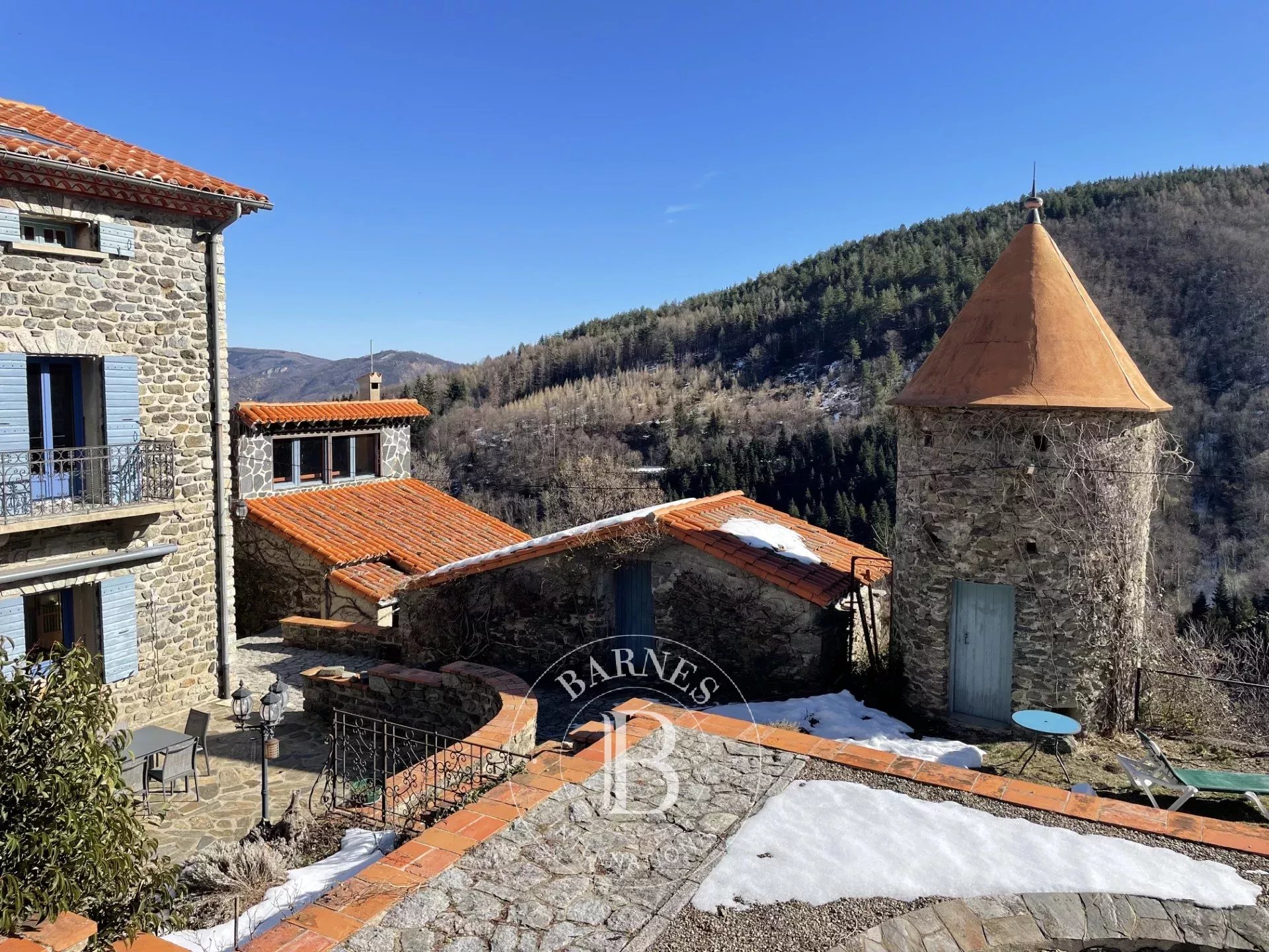 Mülkiyet Prats-de-Mollo-la-Preste - picture 4