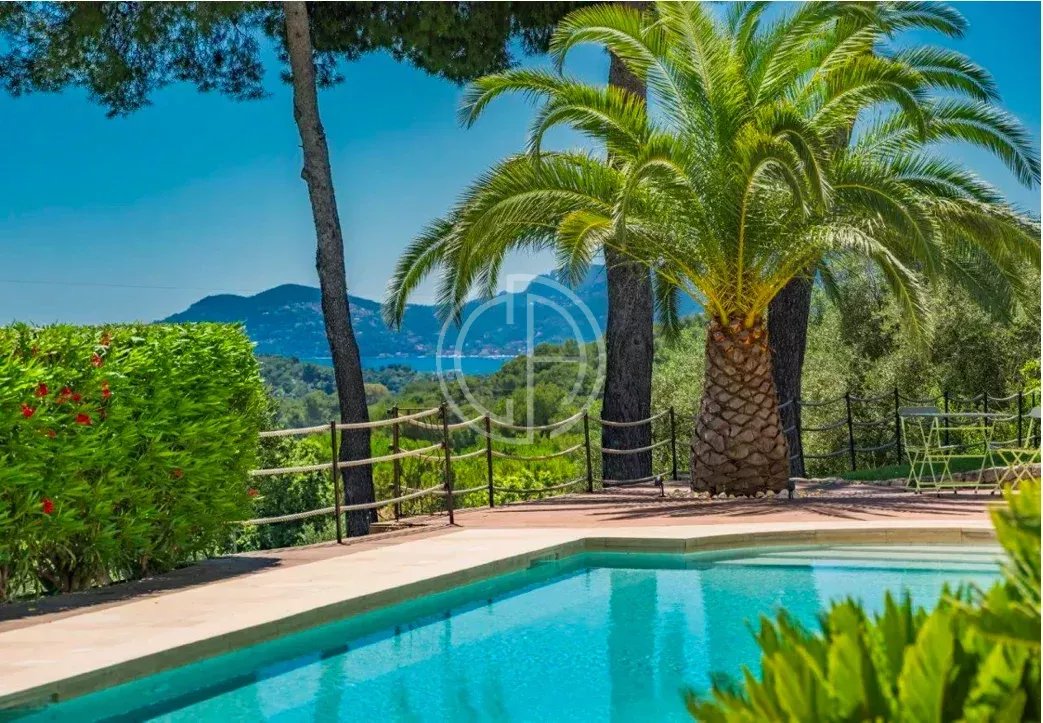Agence immobilière de Collection d'Azur