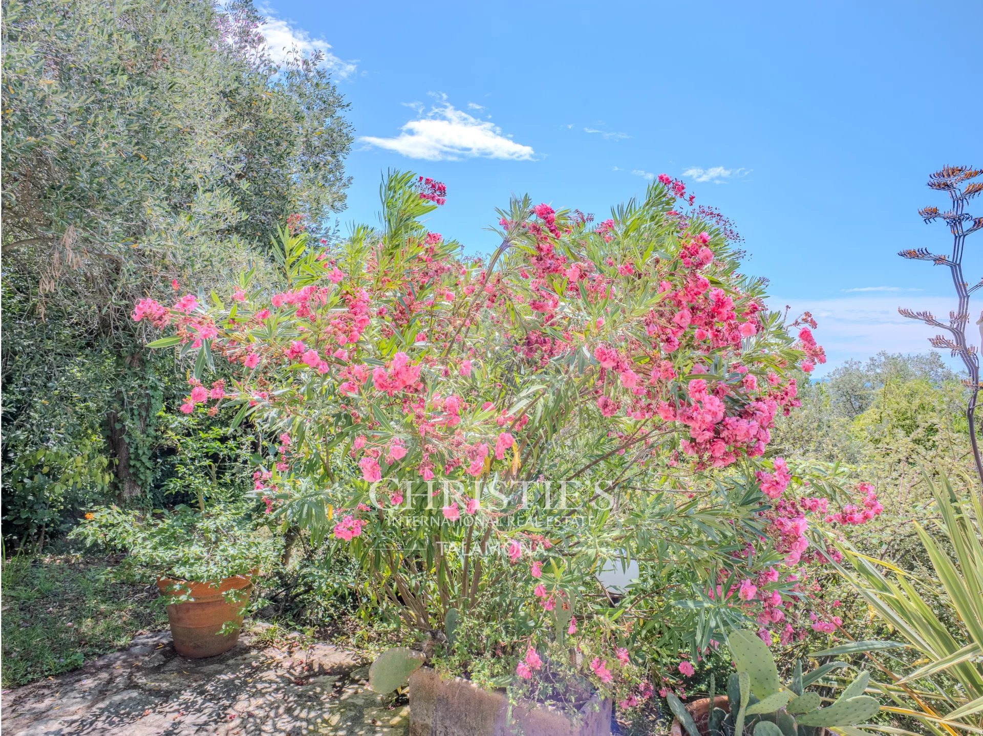 Villa/Townhouse's Image 49