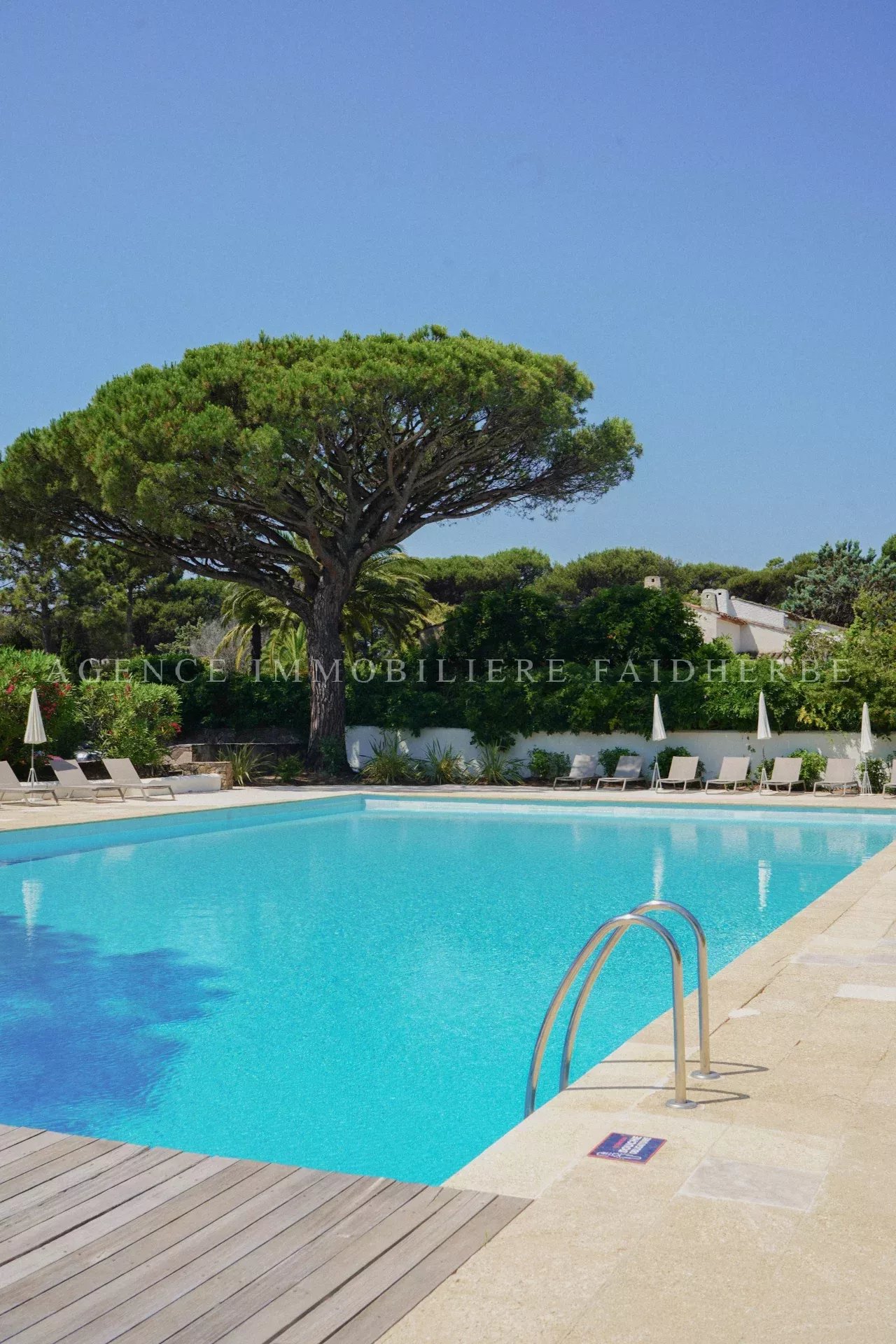 Agence immobilière de STAES IMMOBILIER