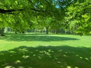 À vendre Terrain constructible | Grosrouvre - picture 2