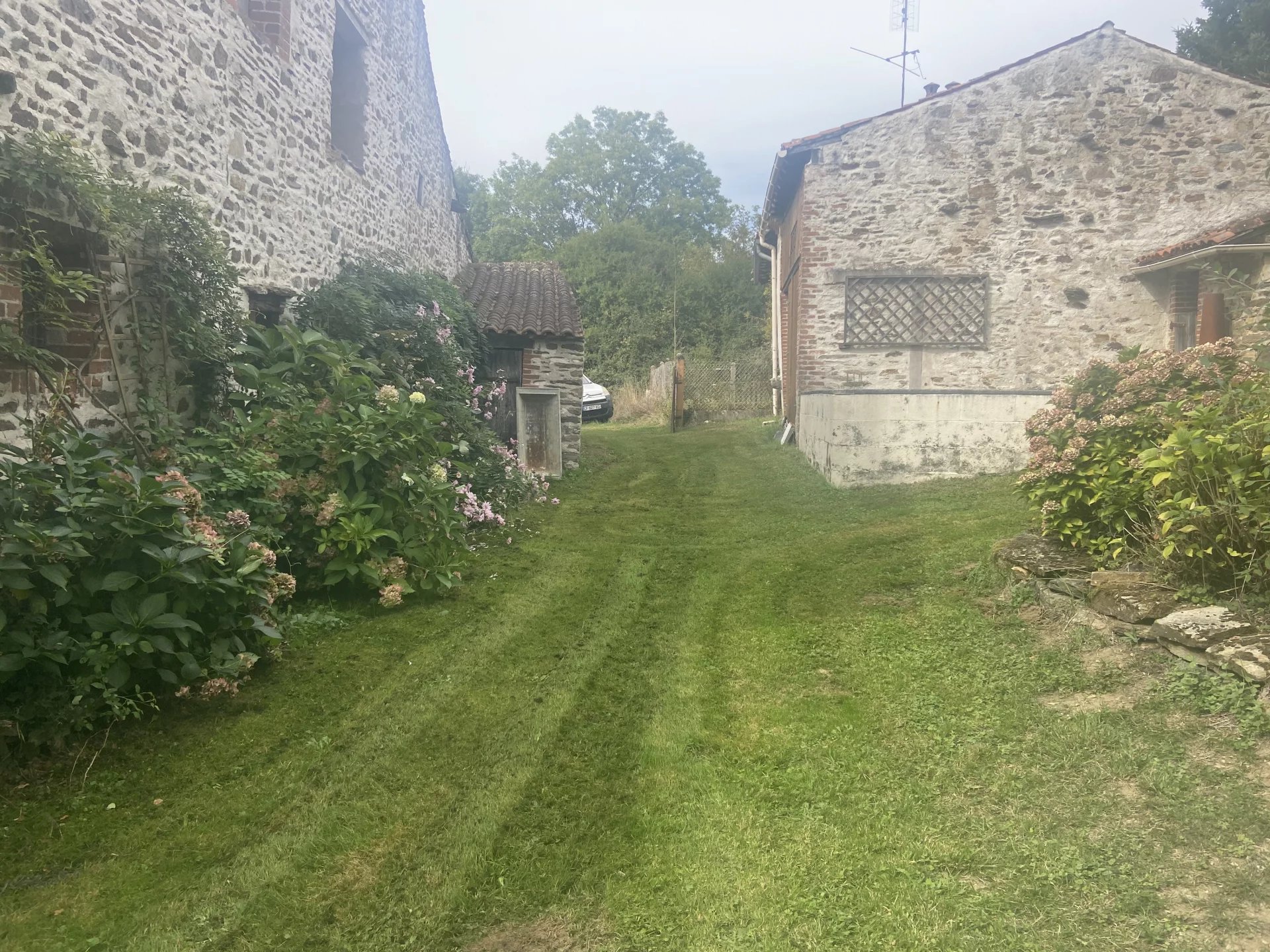 Maison de campagne, gîte, grange et jardins – Le Dorat - 87 - Photo 3