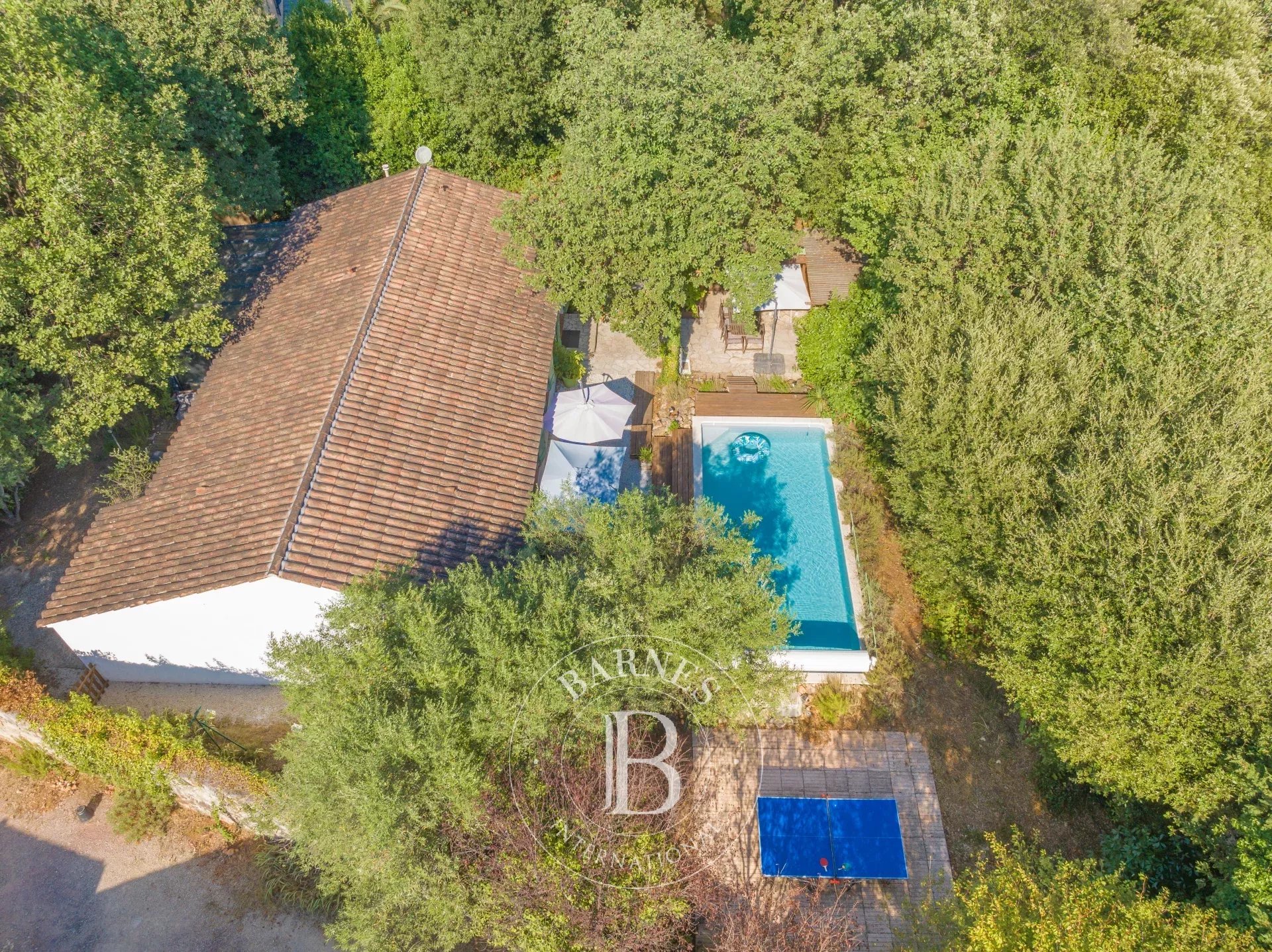 Villa Roquefort-les-Pins - picture 11