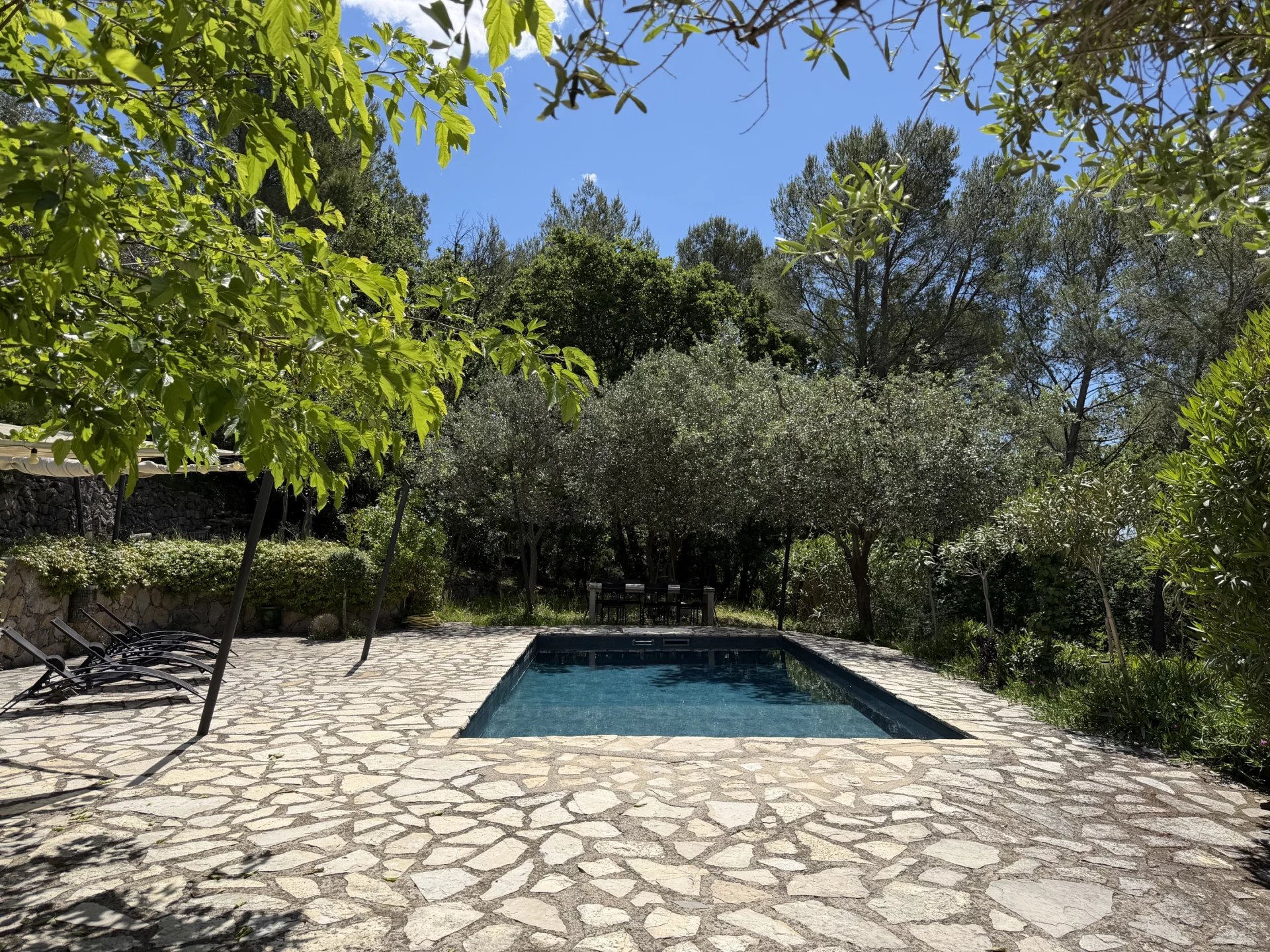 Beautiful villa with swimming pool in a peaceful setting - Seillans