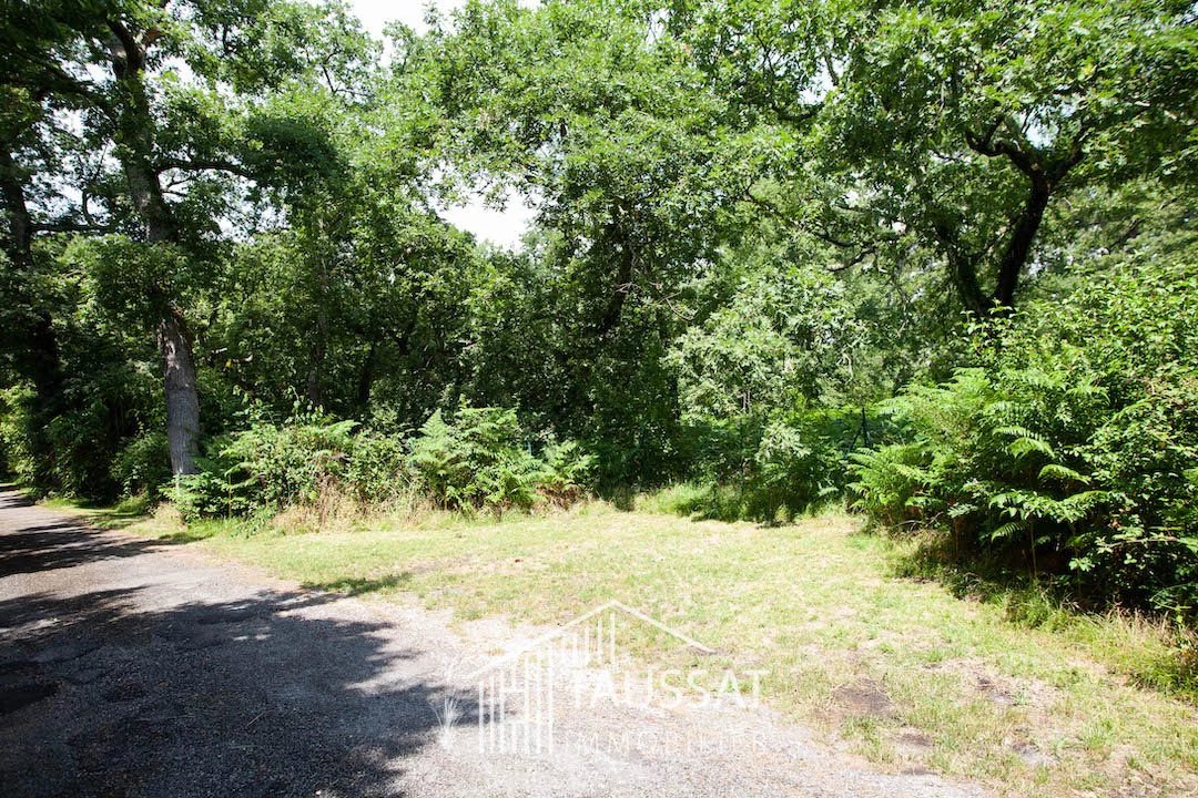 Vente Terrain Lanton