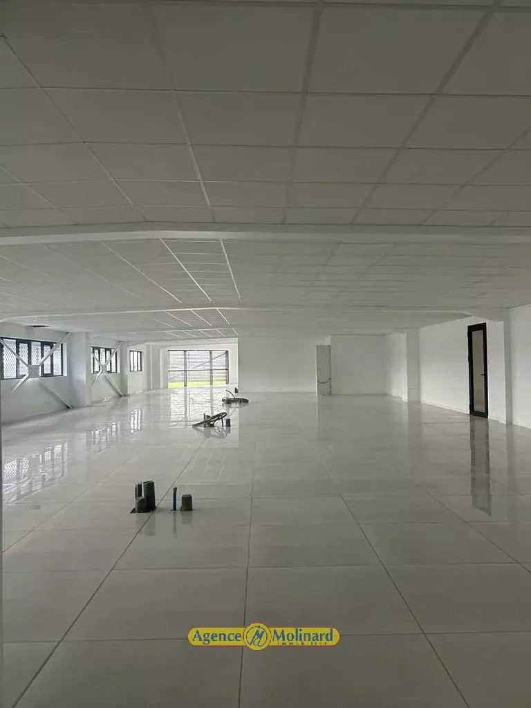 Location Bureau Les Abymes