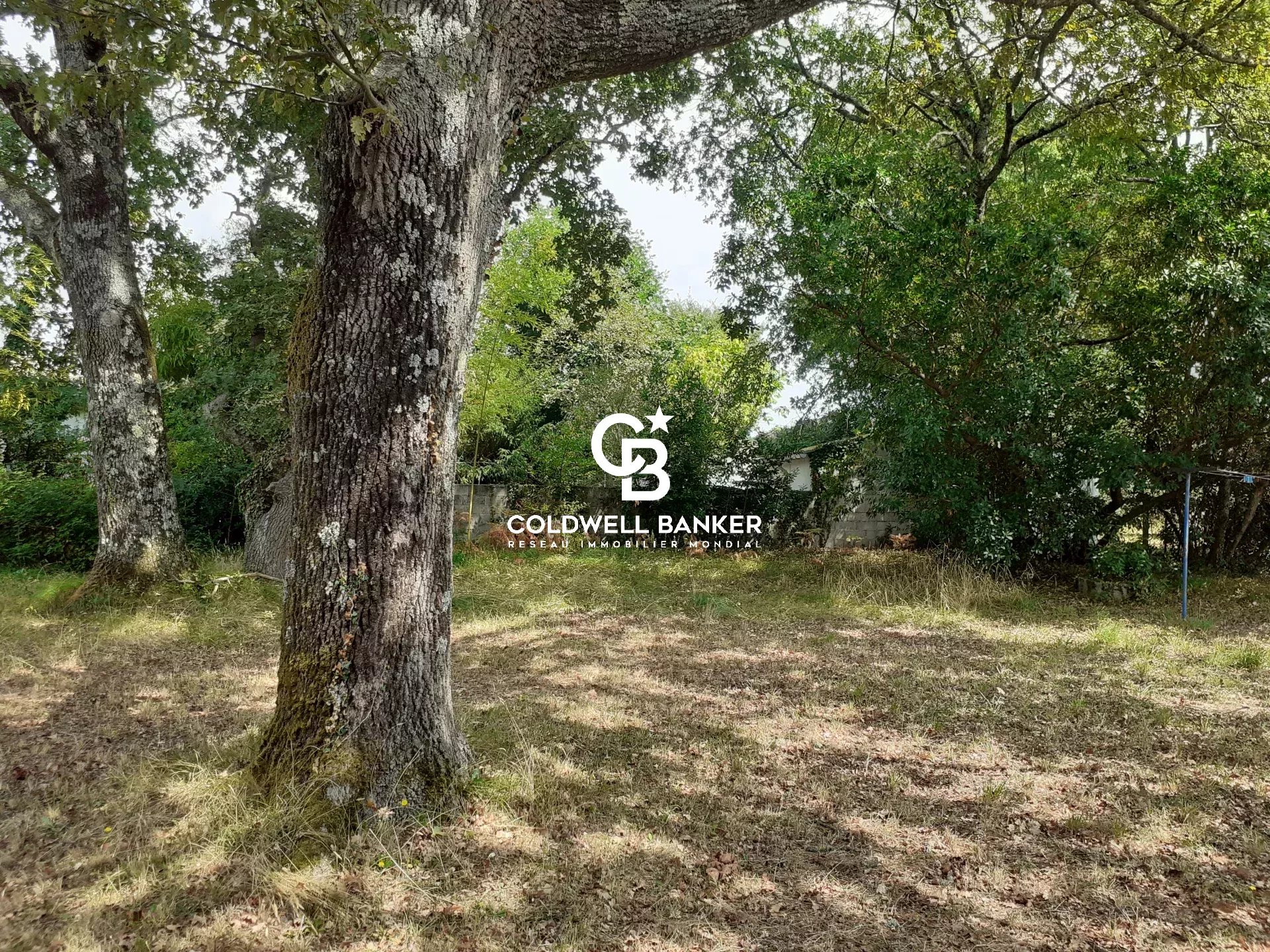 Agence immobilière de Silver Coast Int. Realty