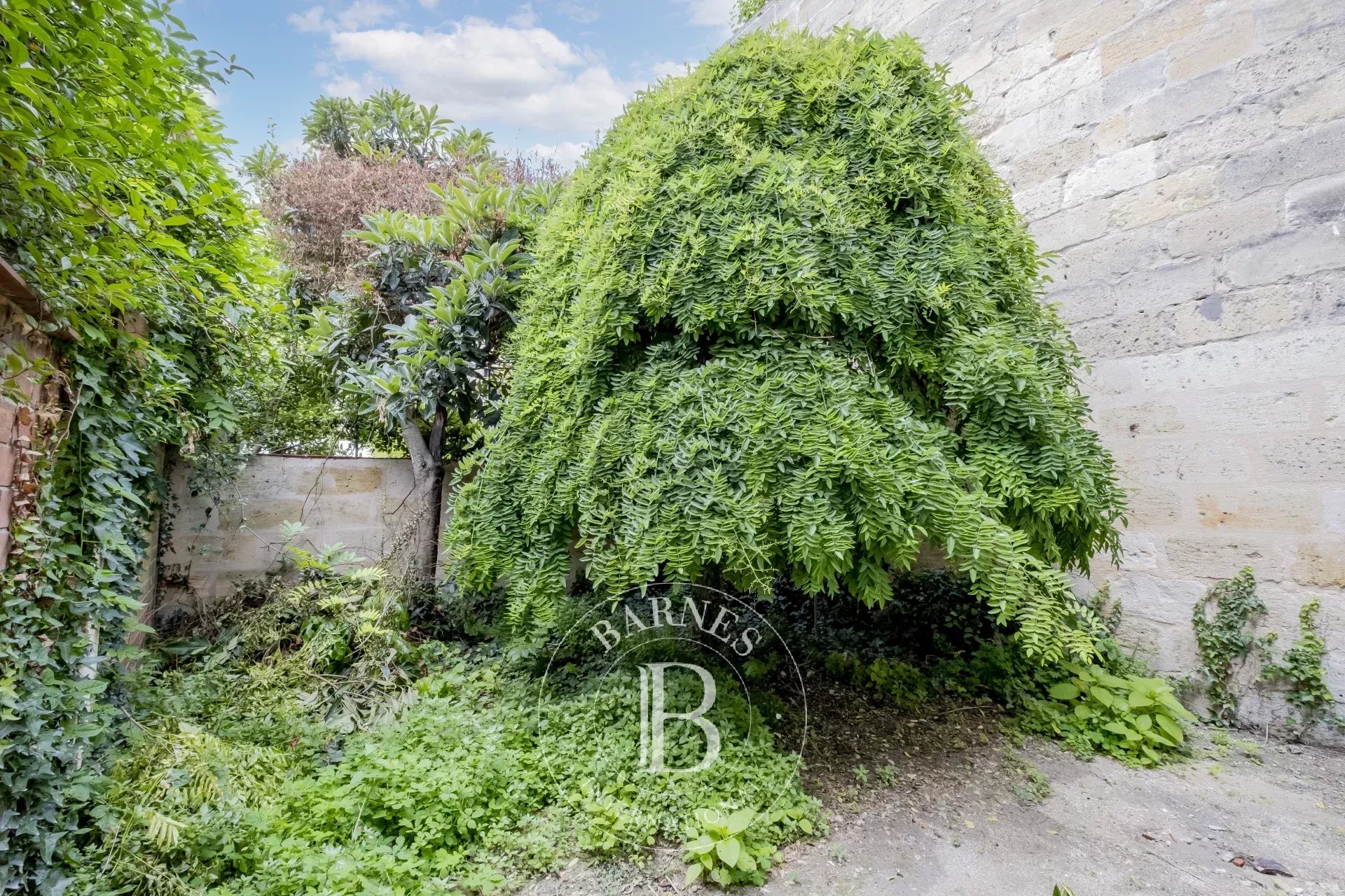 Ev Bordeaux - picture 4