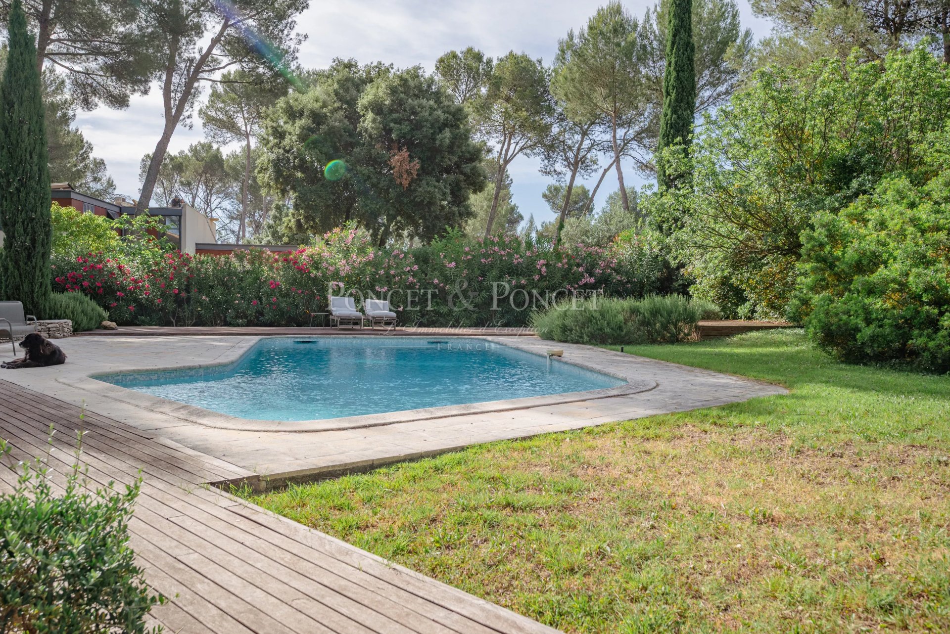 Property Slider Image