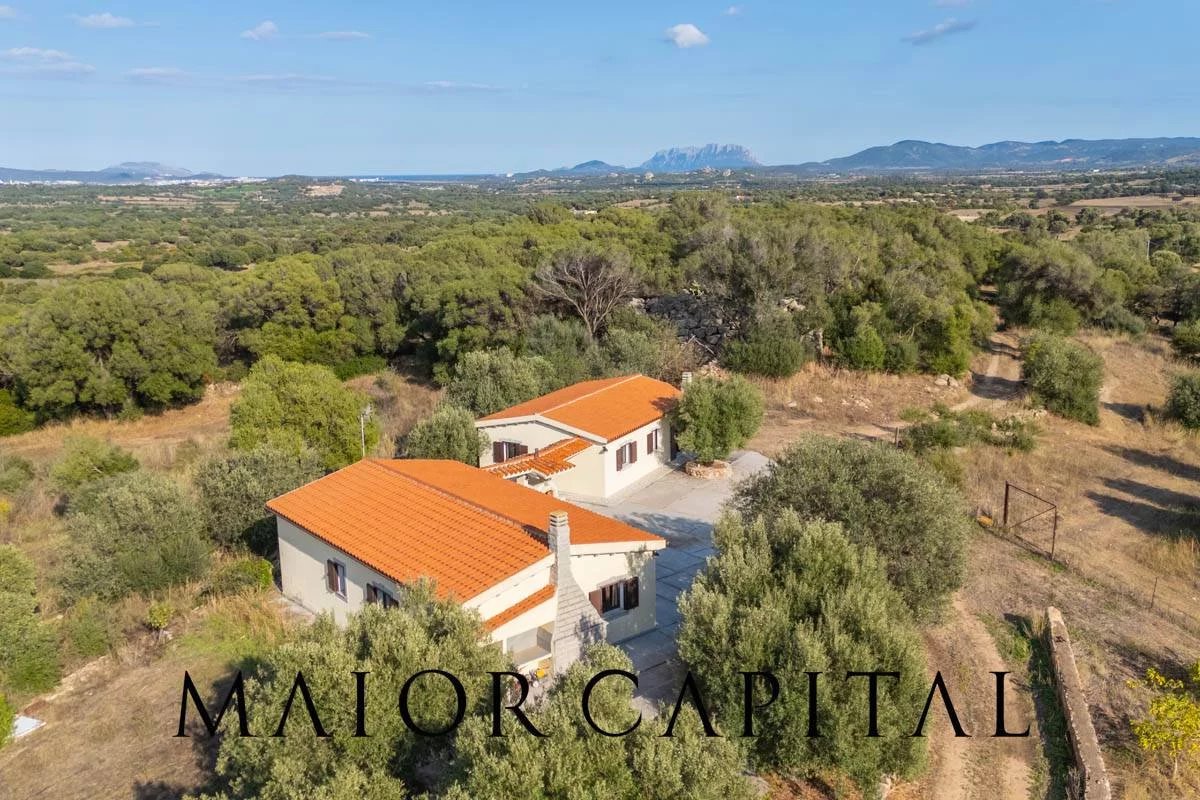 Olbia | Tenuta panoramica con ampio terreno e ulivi secolari