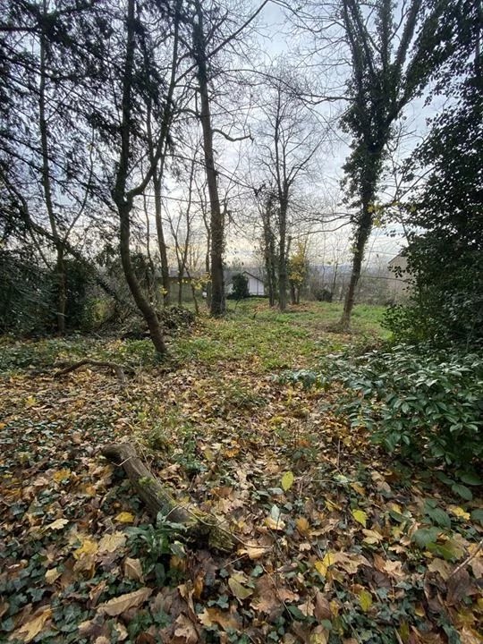 Vente Terrain Saint-Prix