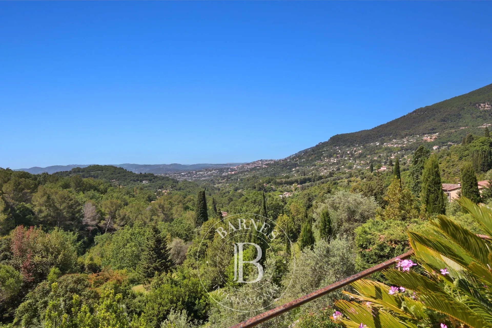 Ev Grasse - picture 16