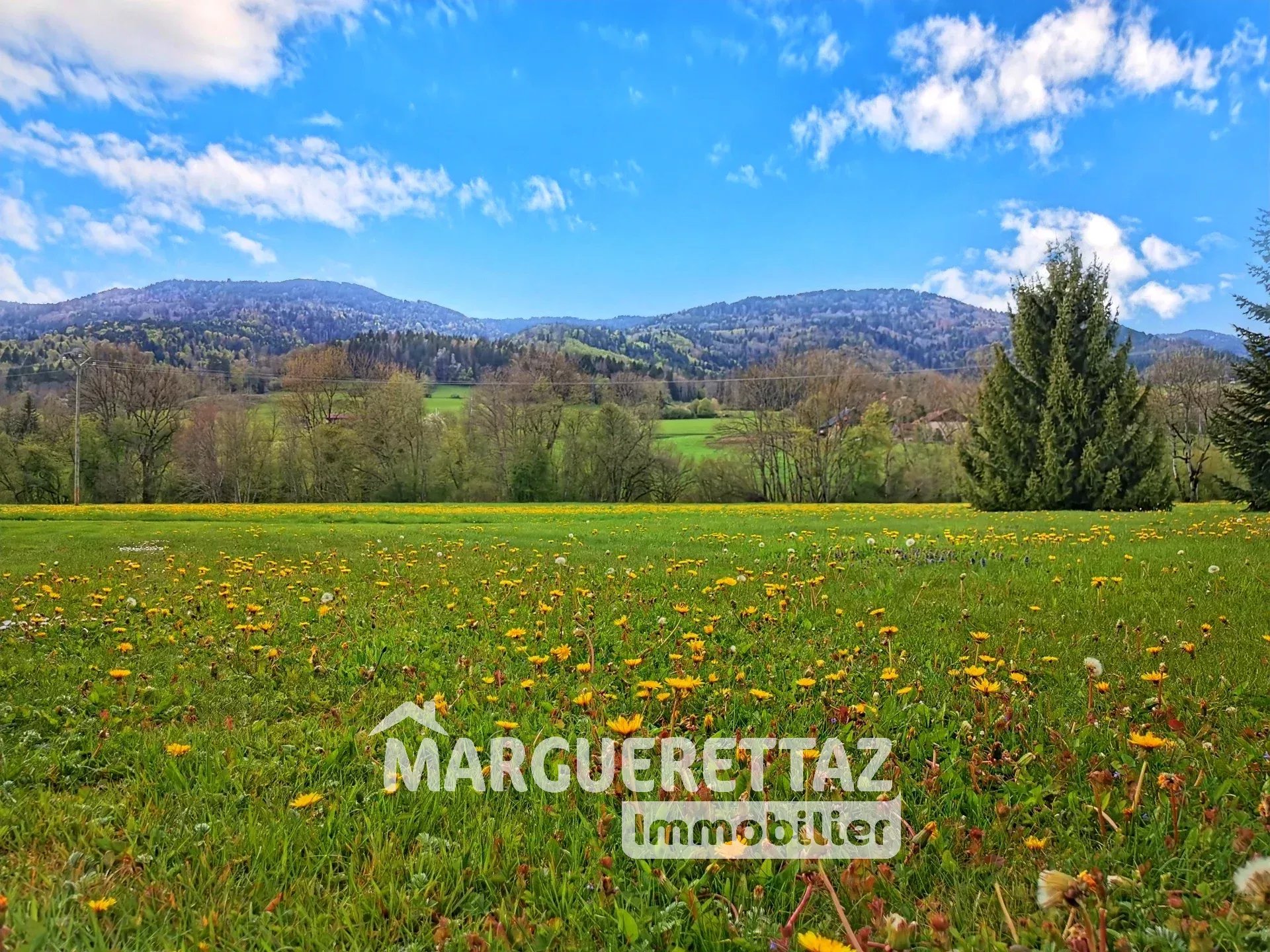 Vente Terrain constructible Saint-André-de-Boëge