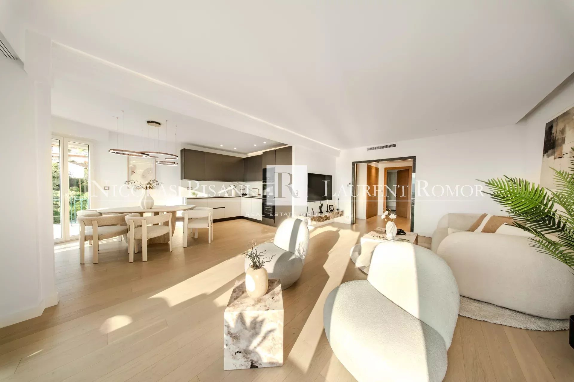 Agence immobilière de Nicolas Pisani & Laurent Romor