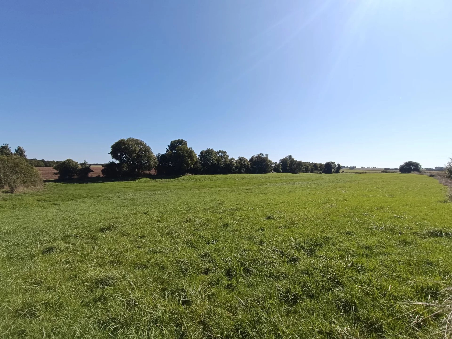 House in Chives - Image 4