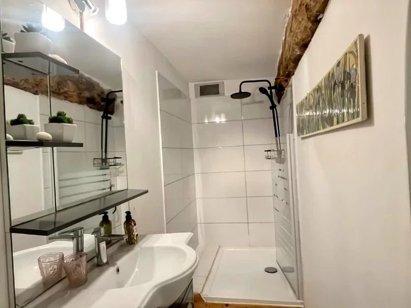 Maison d'hôtes à vendre L'Isle-en-Dodon, Haute-Garonne