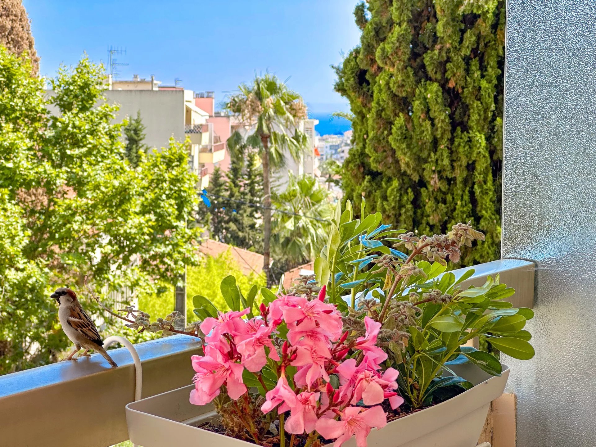 LE CANNET FOR SALE NICE APARTMENT 4 rooms