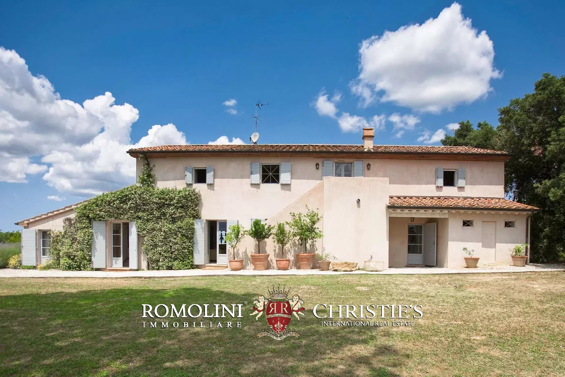EQUESTRIAN SEA VIEW WINE ESTATE WITH VINEYARDS FOR SALE CLOSE TO BOLGHERI, TUSCANY