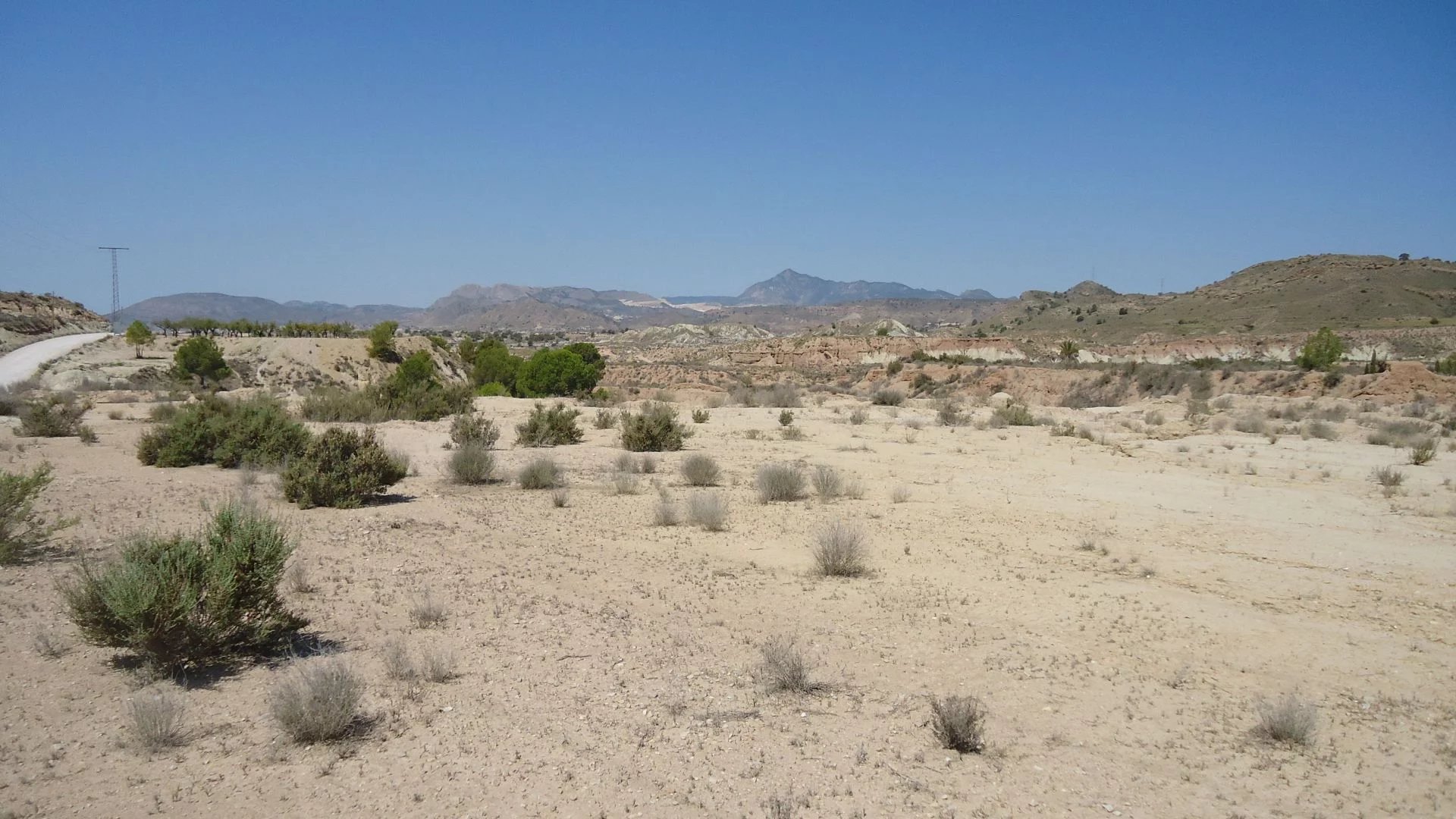 Vente Terrain Abanilla