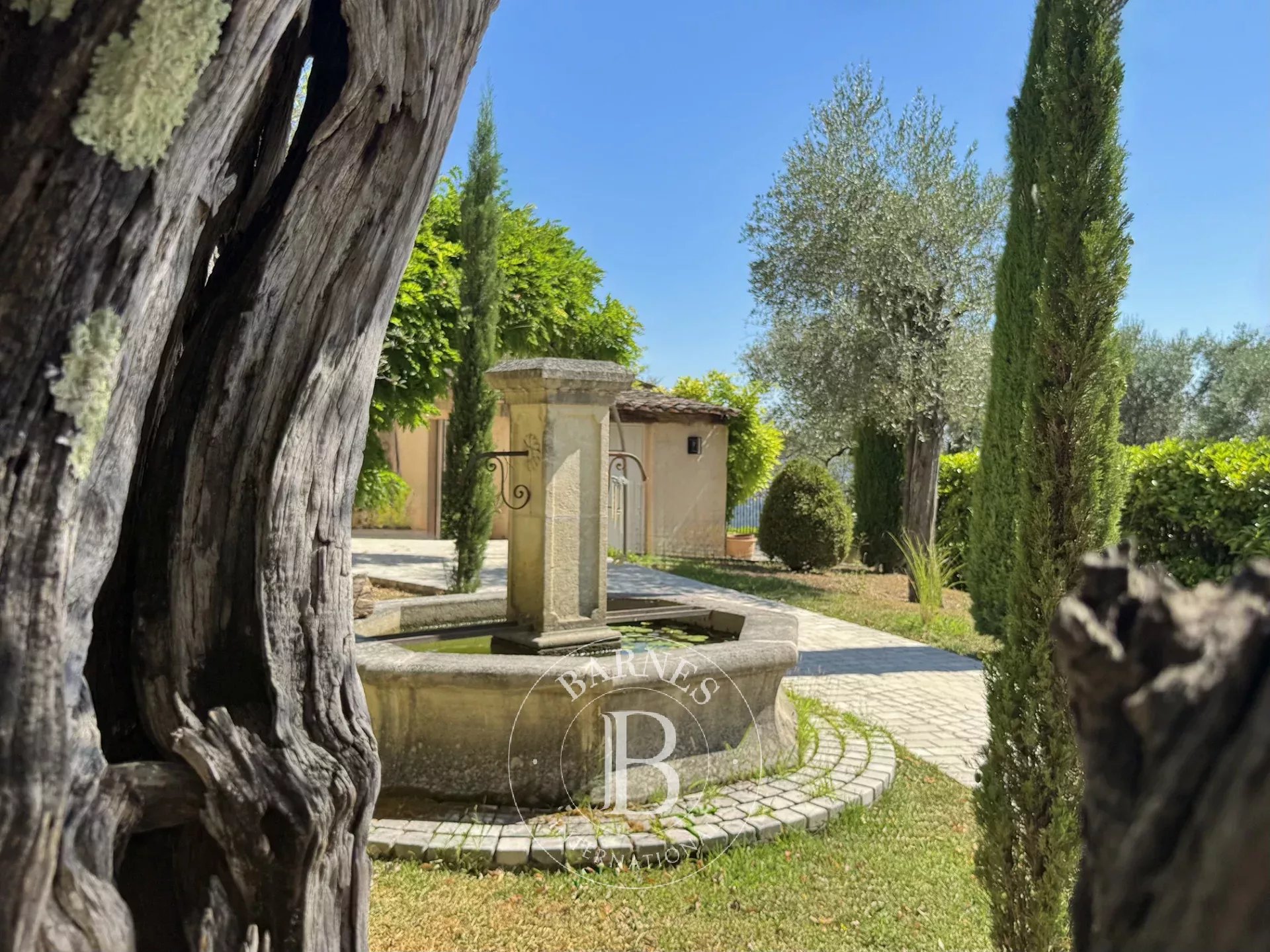 Kirevi Grasse - picture 8