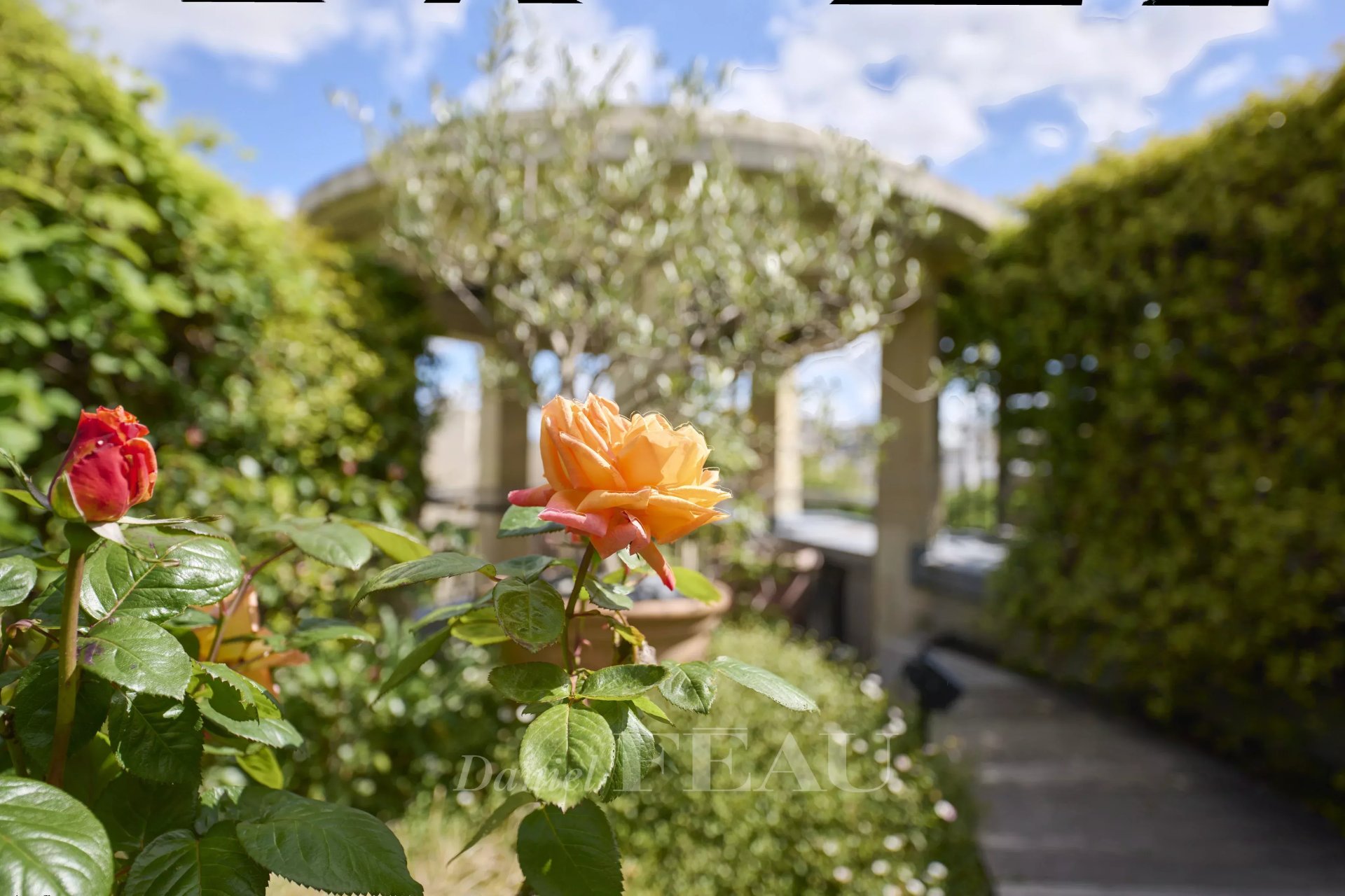 Property Slider Image
