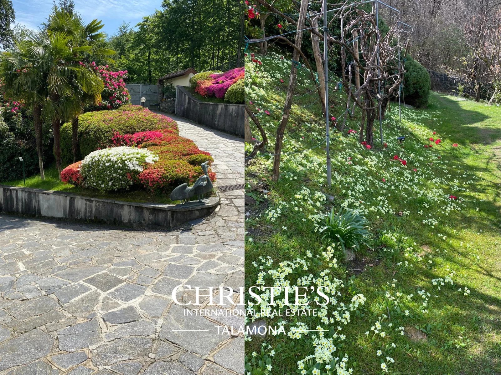 Villa/Townhouse's Image 23