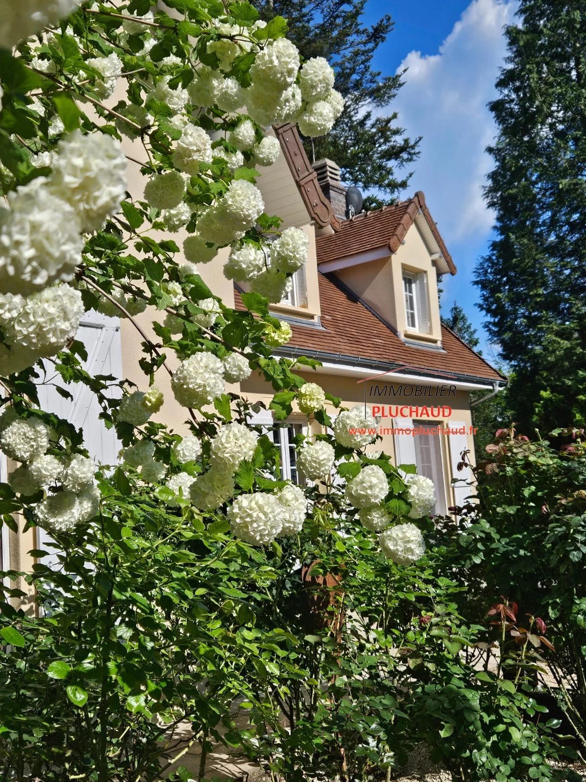 Exceptionnelle , magnifique maison dans son parc, 211 m2