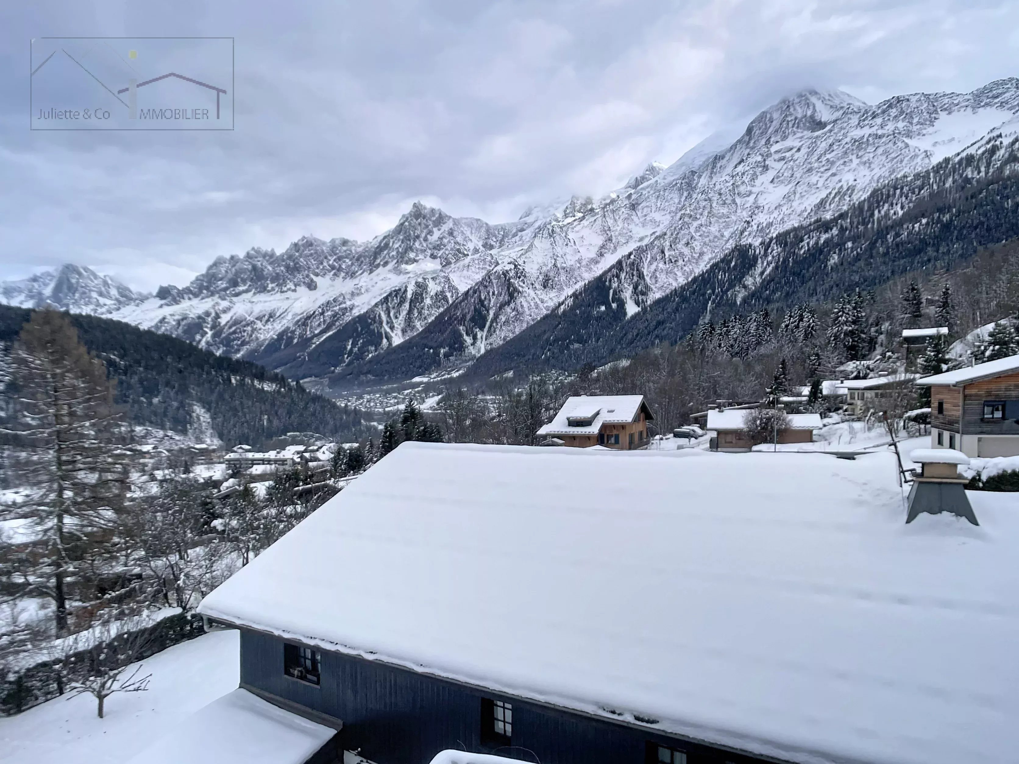 Photo of Spacious apartment in the Chavants area