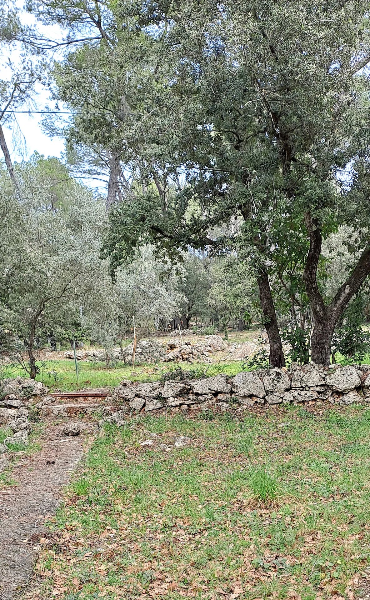 Achat Maison T0 à Trans-en-Provence (83720) - 300m²