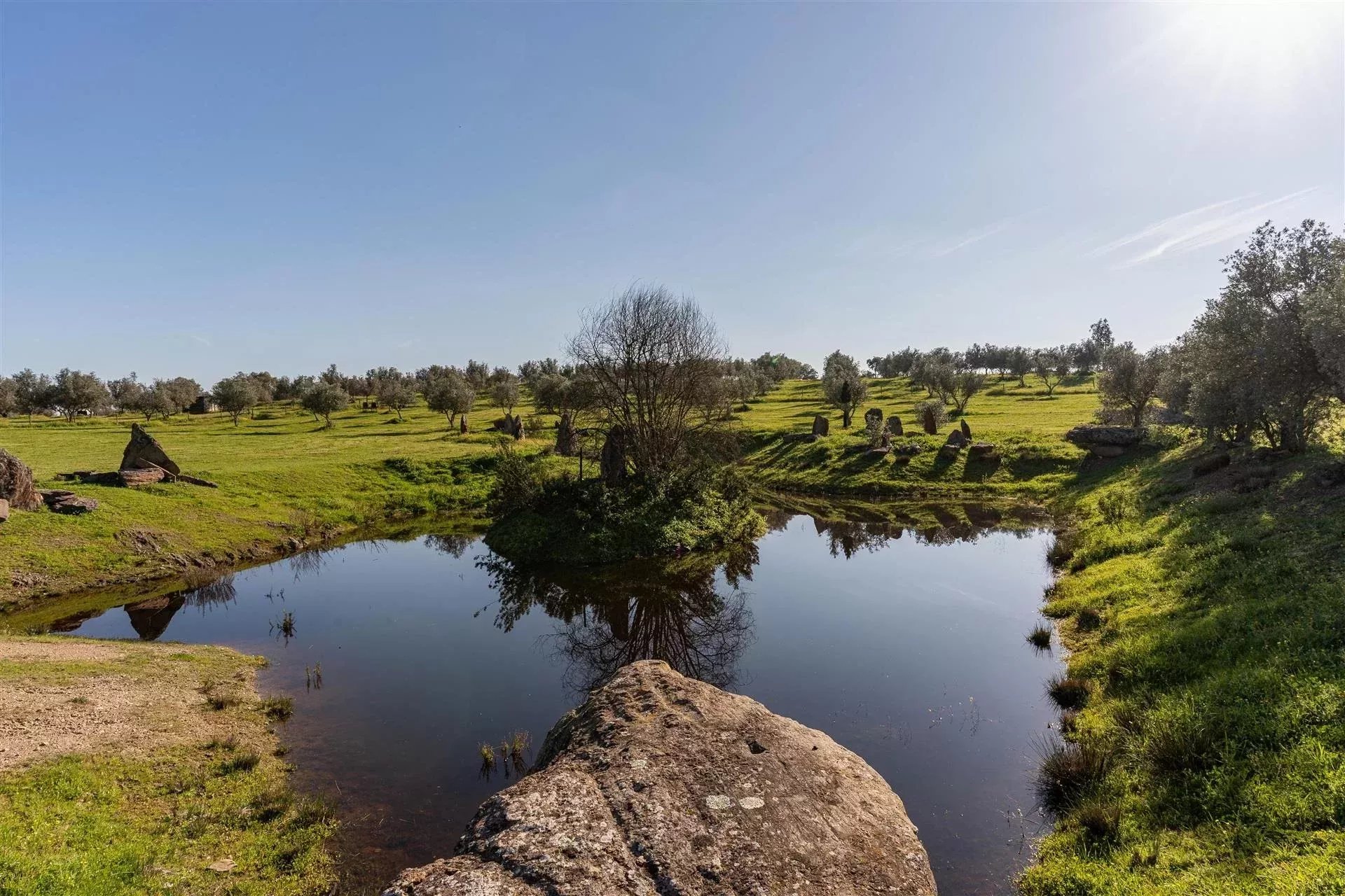 Private Estate - Equestrian Centre 86637172 image 51