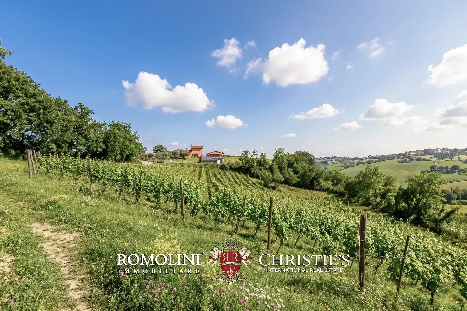 5 Bedroom Vineyard's Image 14