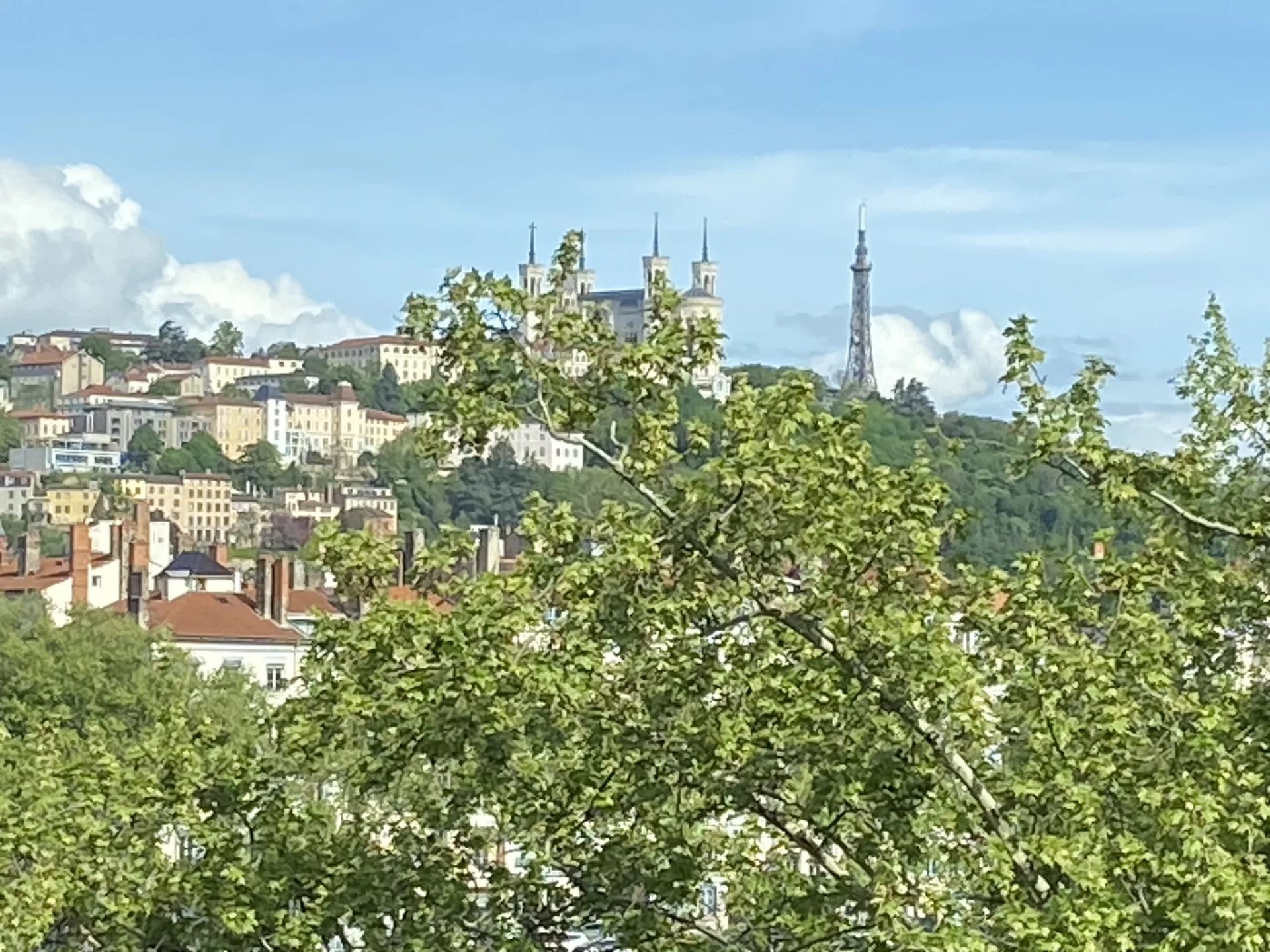 Sale Apartment Lyon 7ème