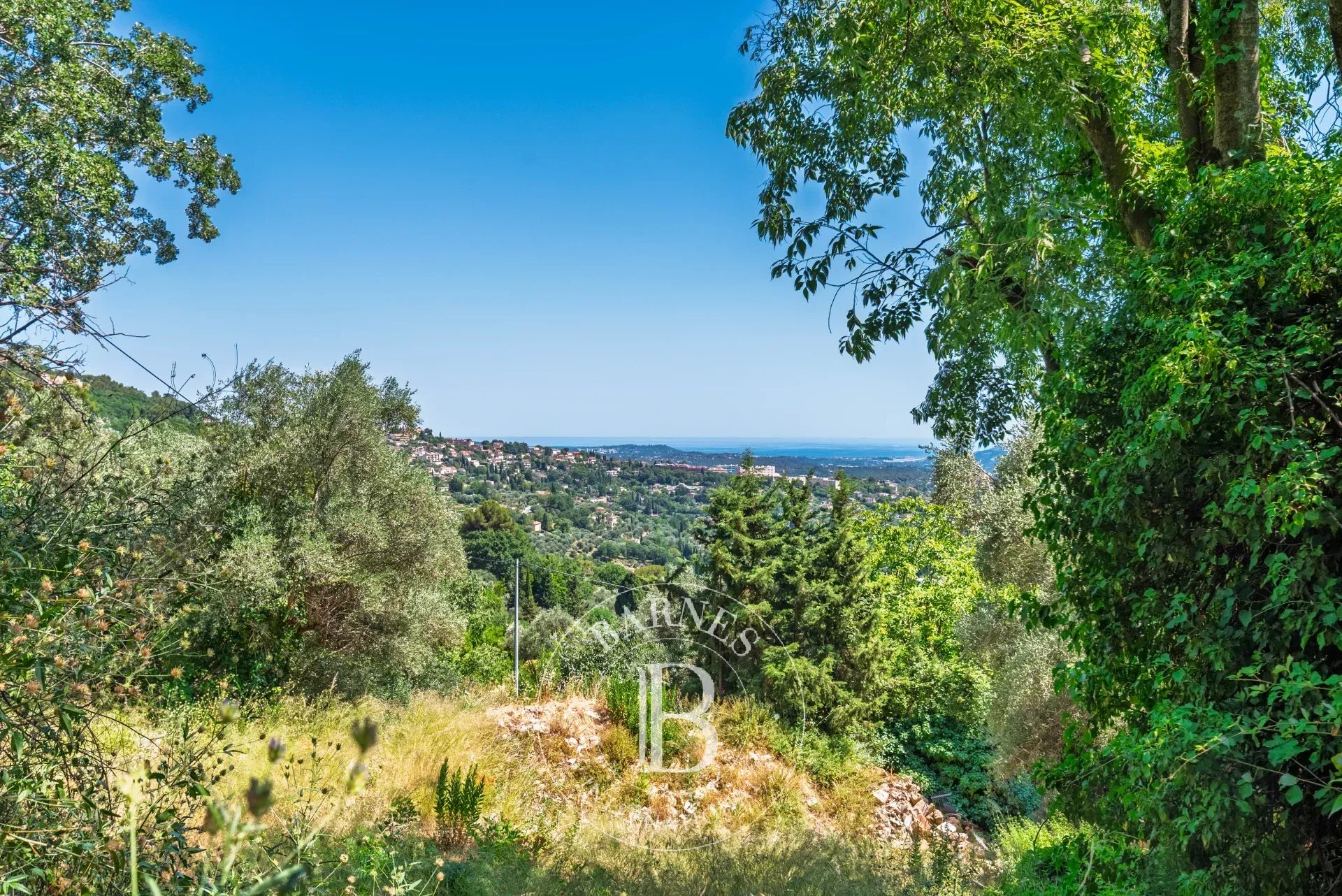 Grasse  - Terrain  - picture 1