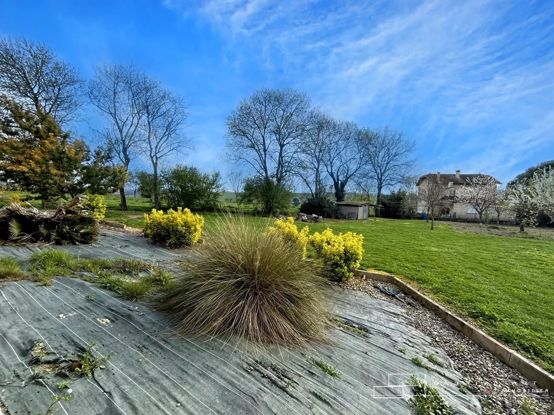 Agence immobilière de 