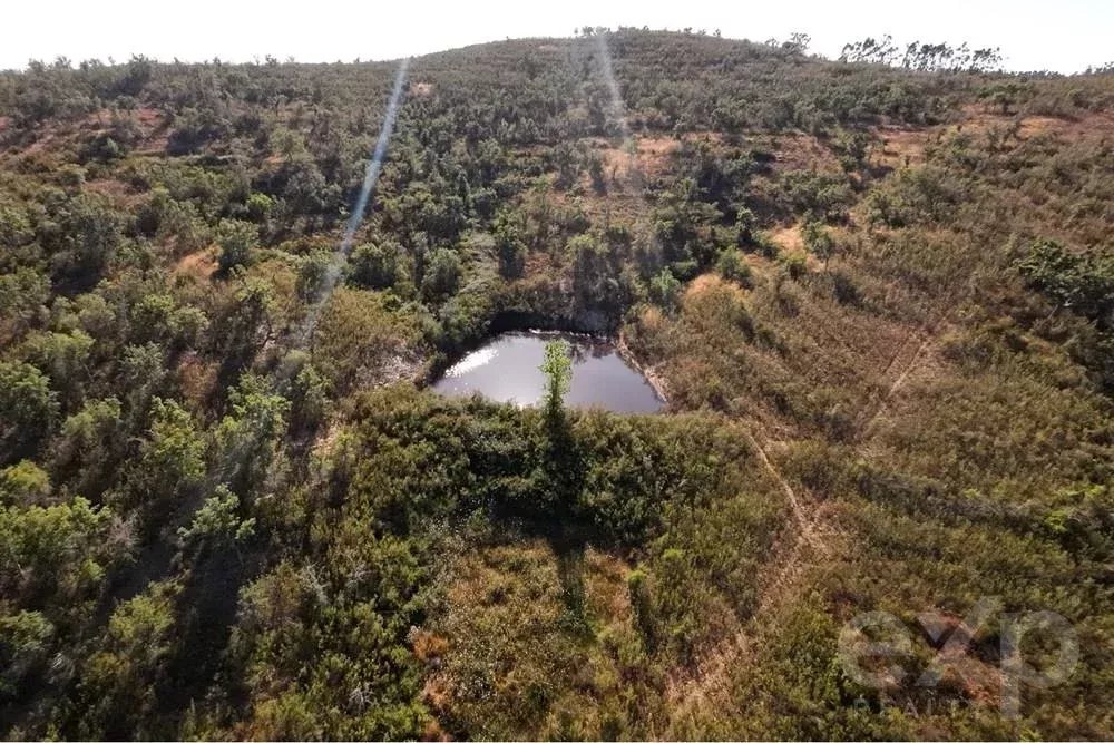 Exceptional 65-Hectare Estate in Alentejo with Tourism Development Potential 85506160 image 3