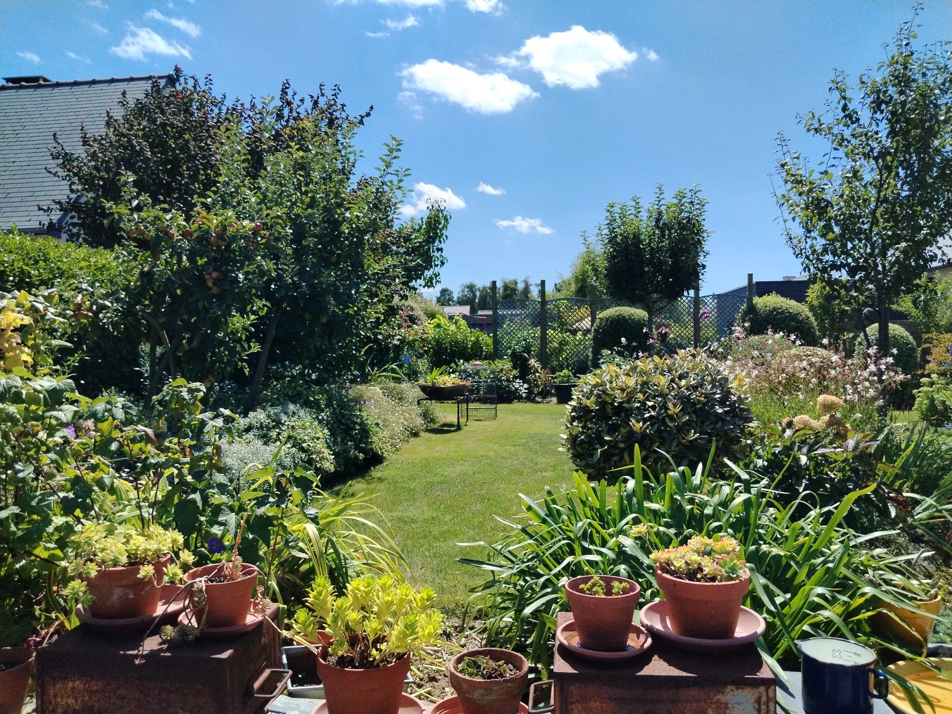 NOUVEAUTE  SAINT-SAMSON-SUR -RANCE