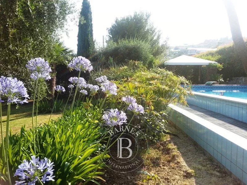 Villa Sanremo - picture 6