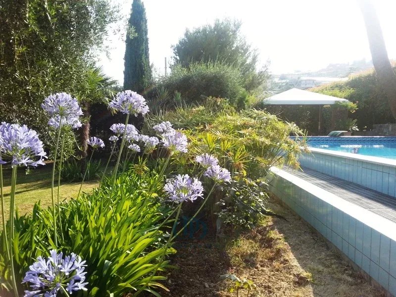 Villa Sanremo - picture 6