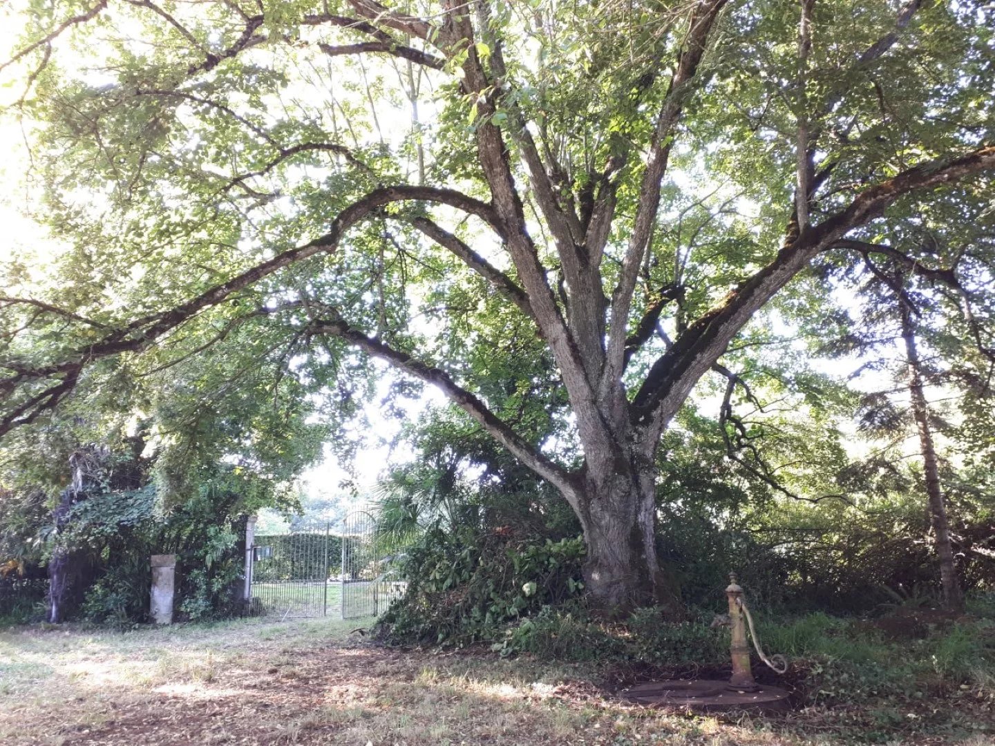 Village house for sale Samaran, Gers