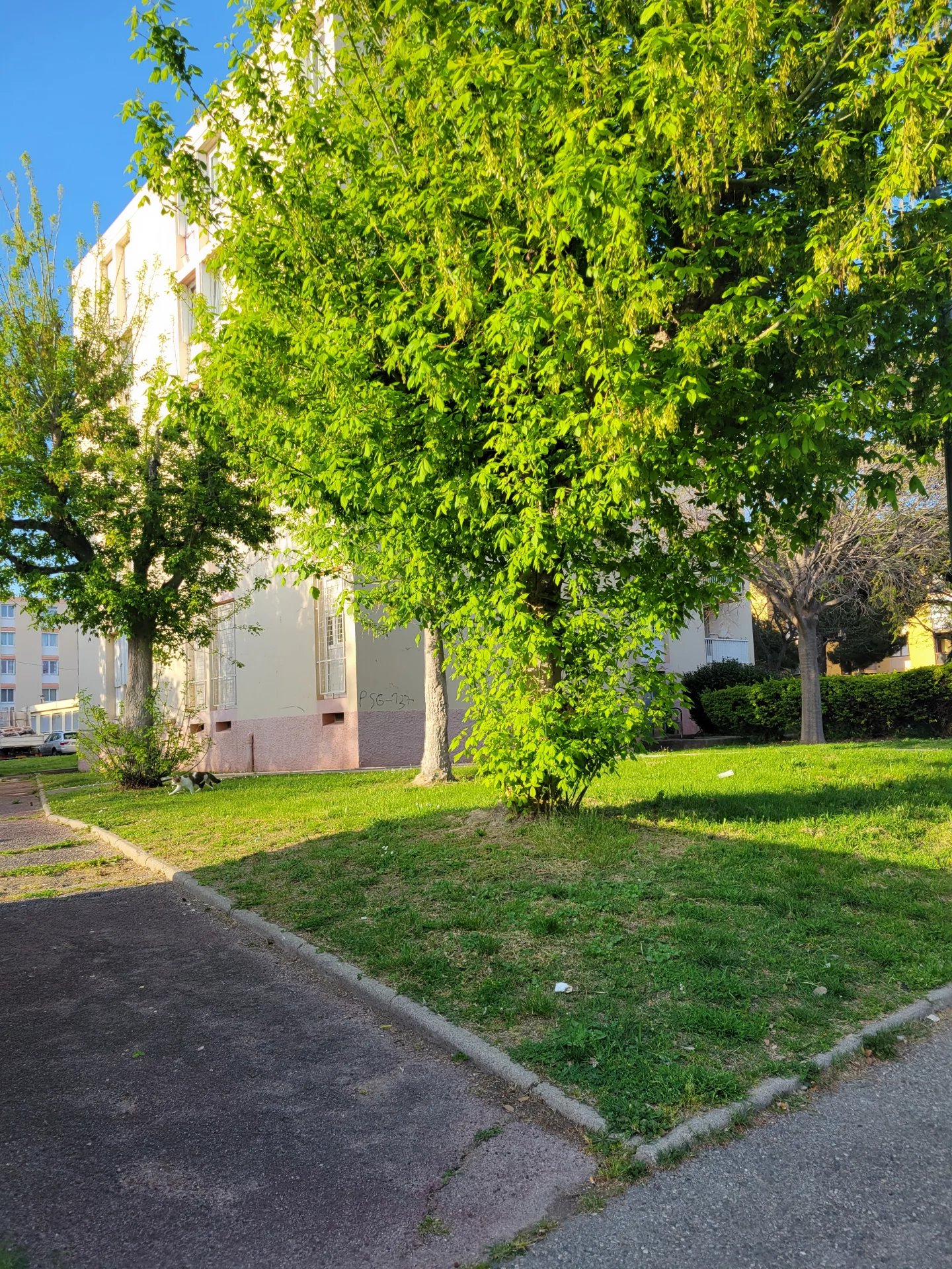 Vente Appartement Marignane