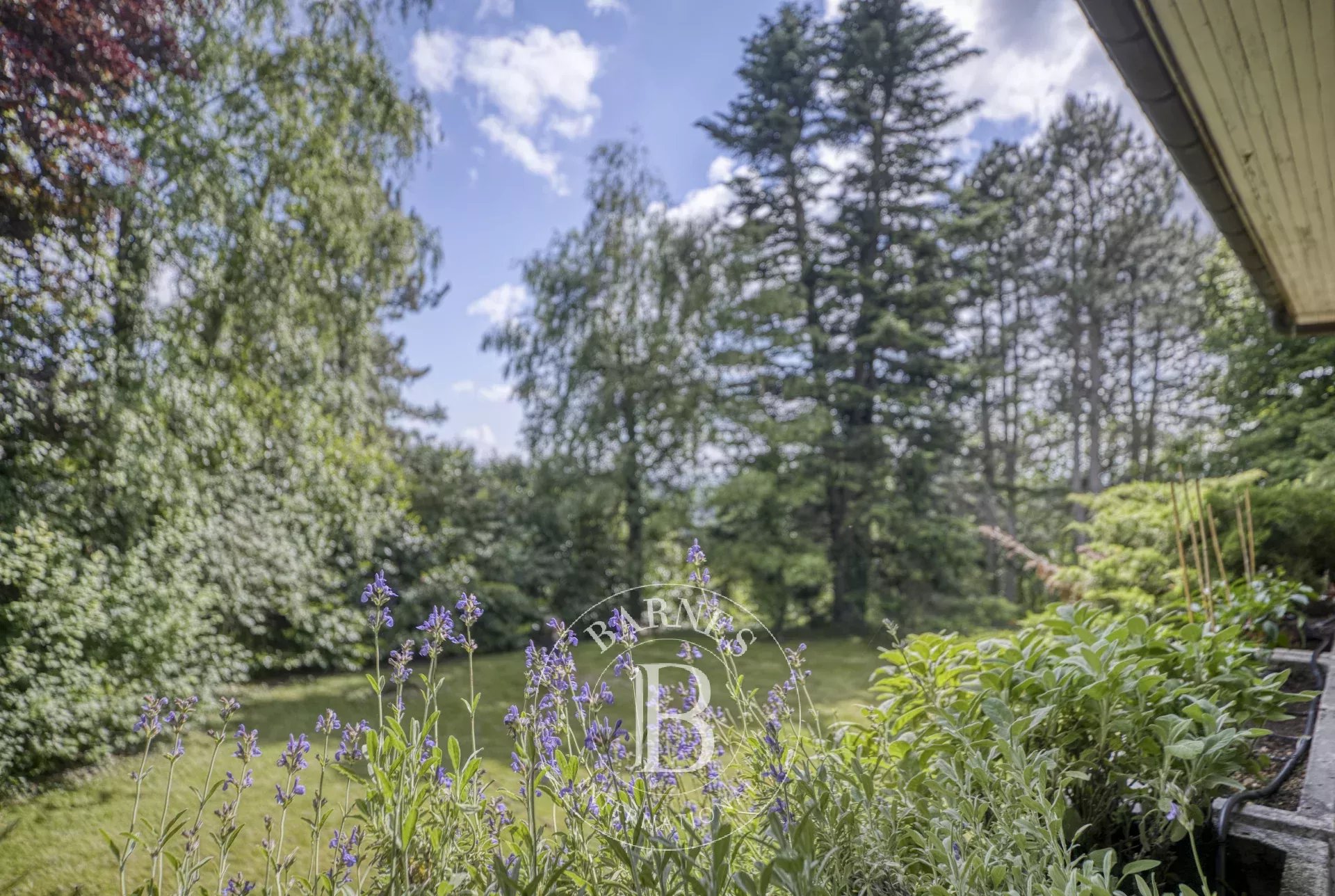 Ev Cruseilles - picture 7