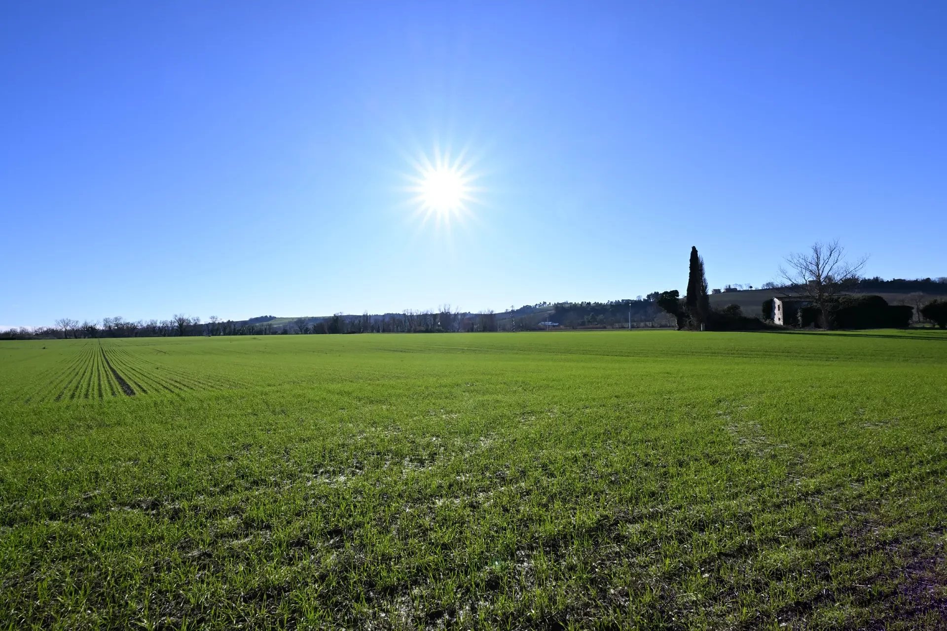  TENUTA AGRICOLA DI 90 ETTARI CON 8 CASE COLONICHE DA RISTRUTTURARE IN VENDITA A OSIMO, MARCHE