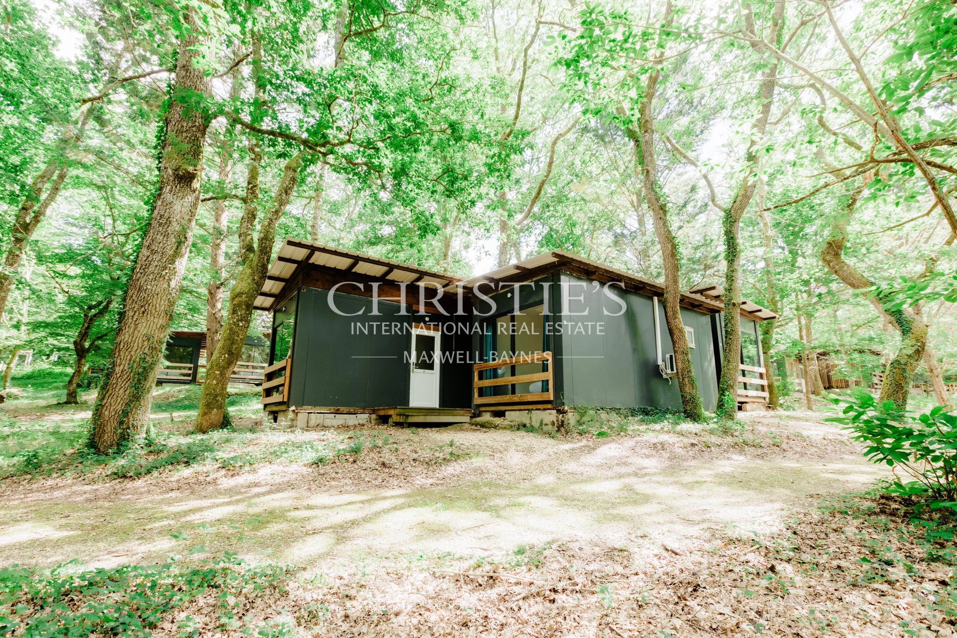 53 Bedroom Chateau's Image 45