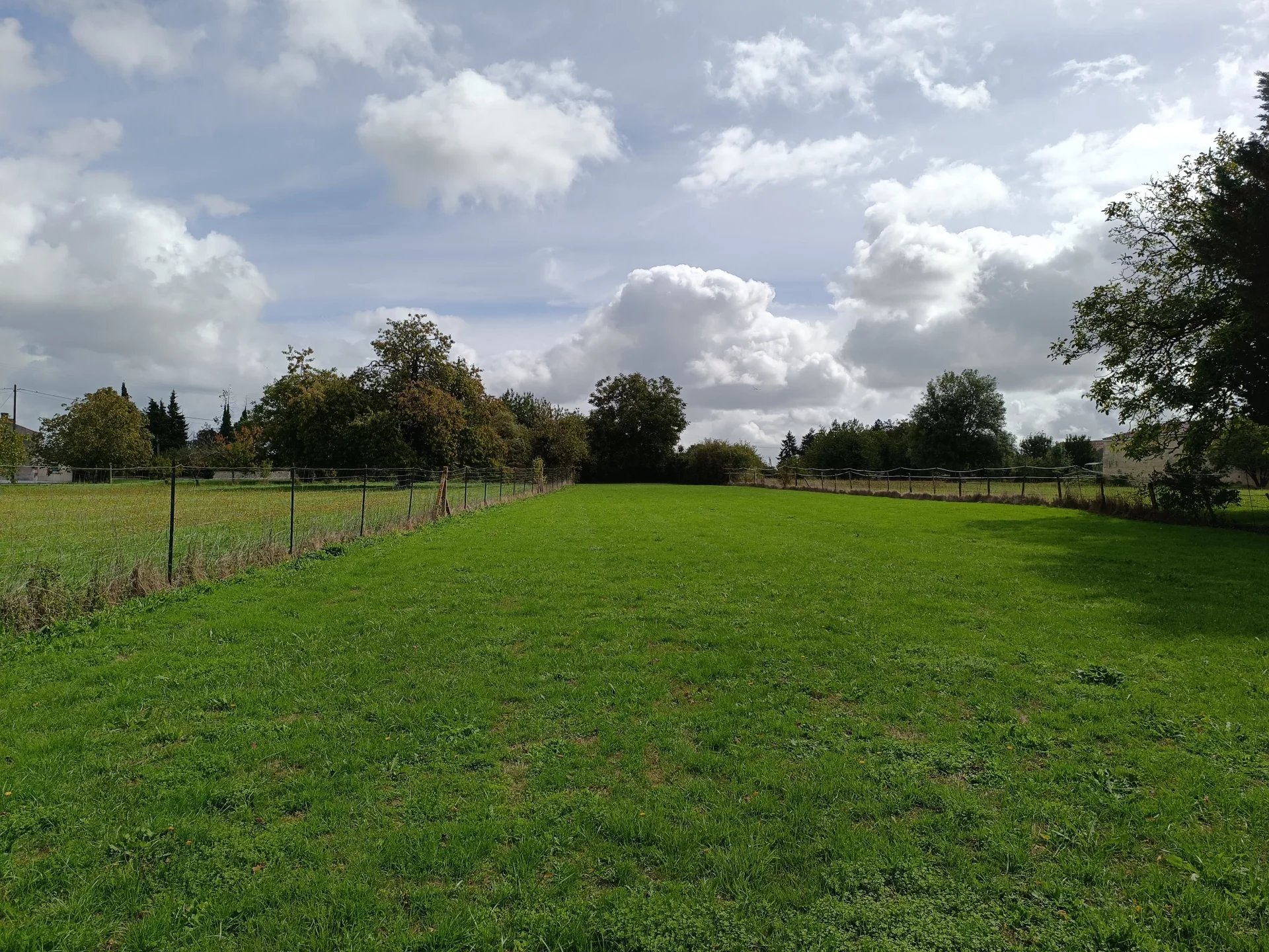 House in Nere - Image 3